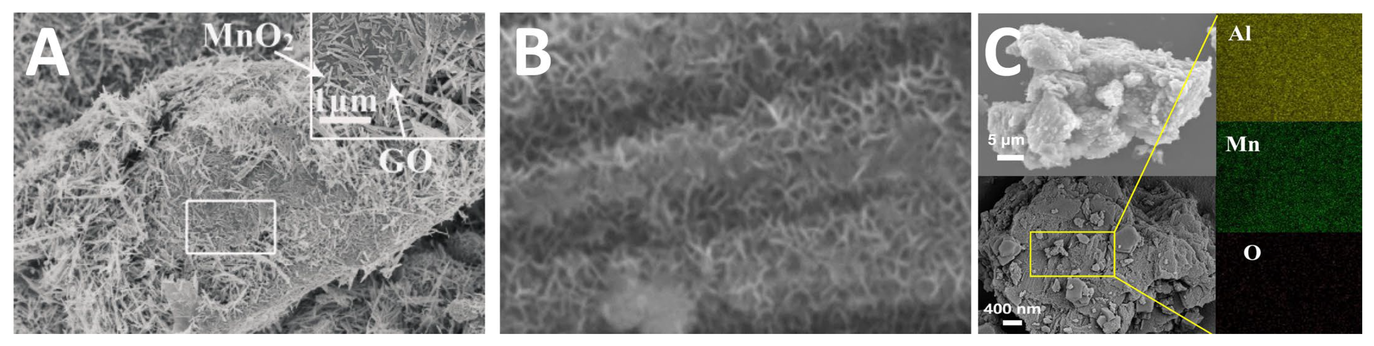 Catalysts 13 00342 g002