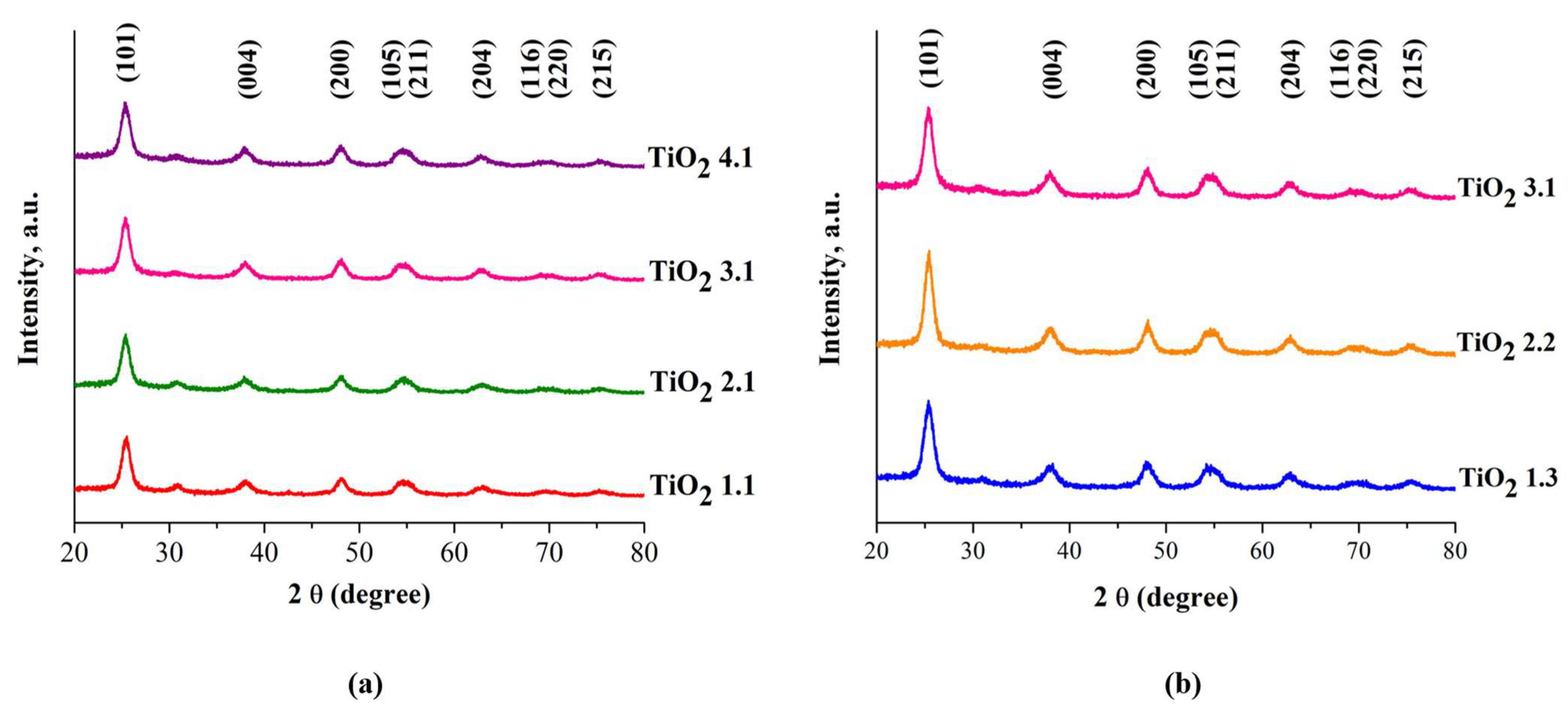 Catalysts 13 00345 g001