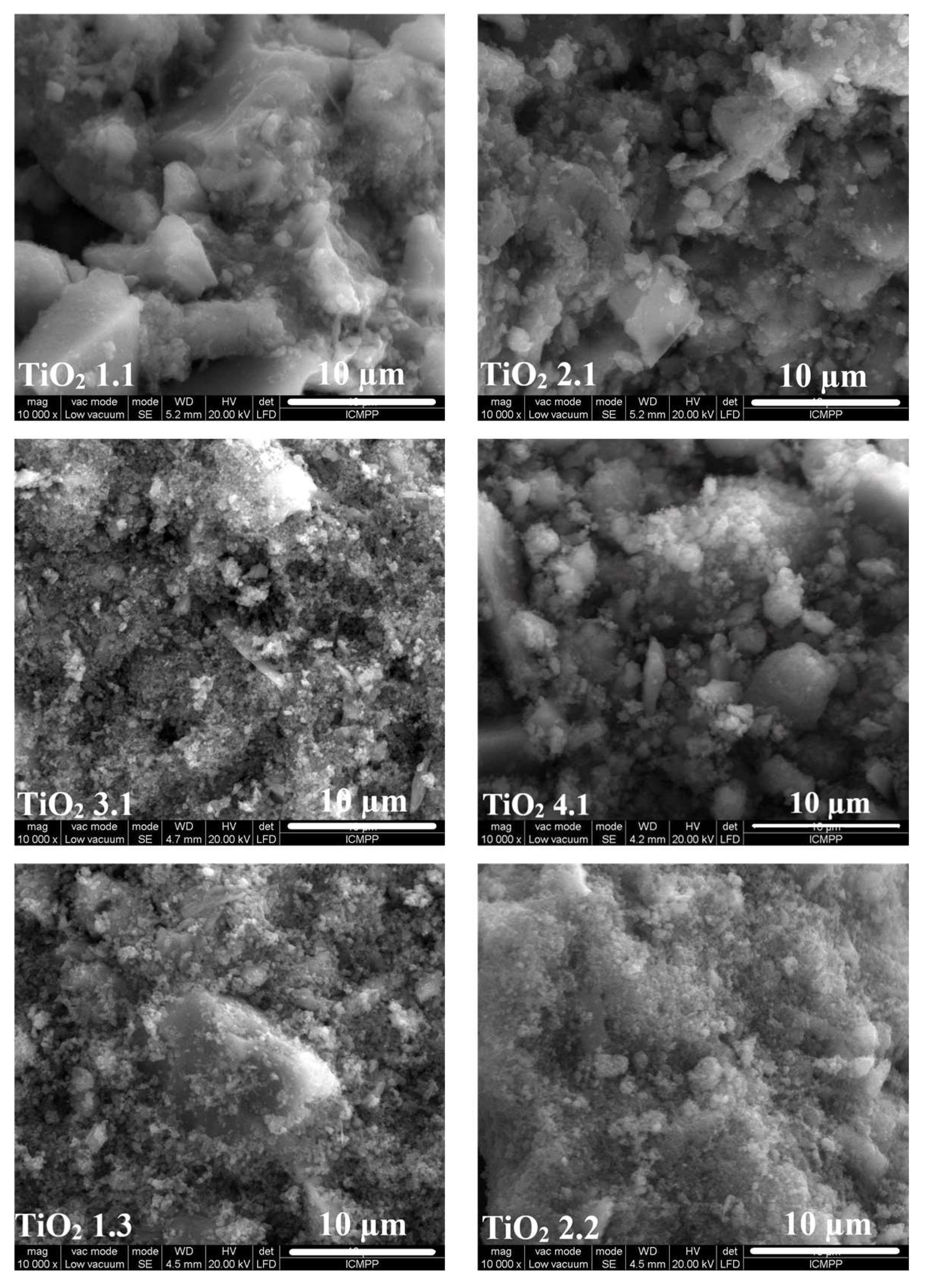 Catalysts 13 00345 g005