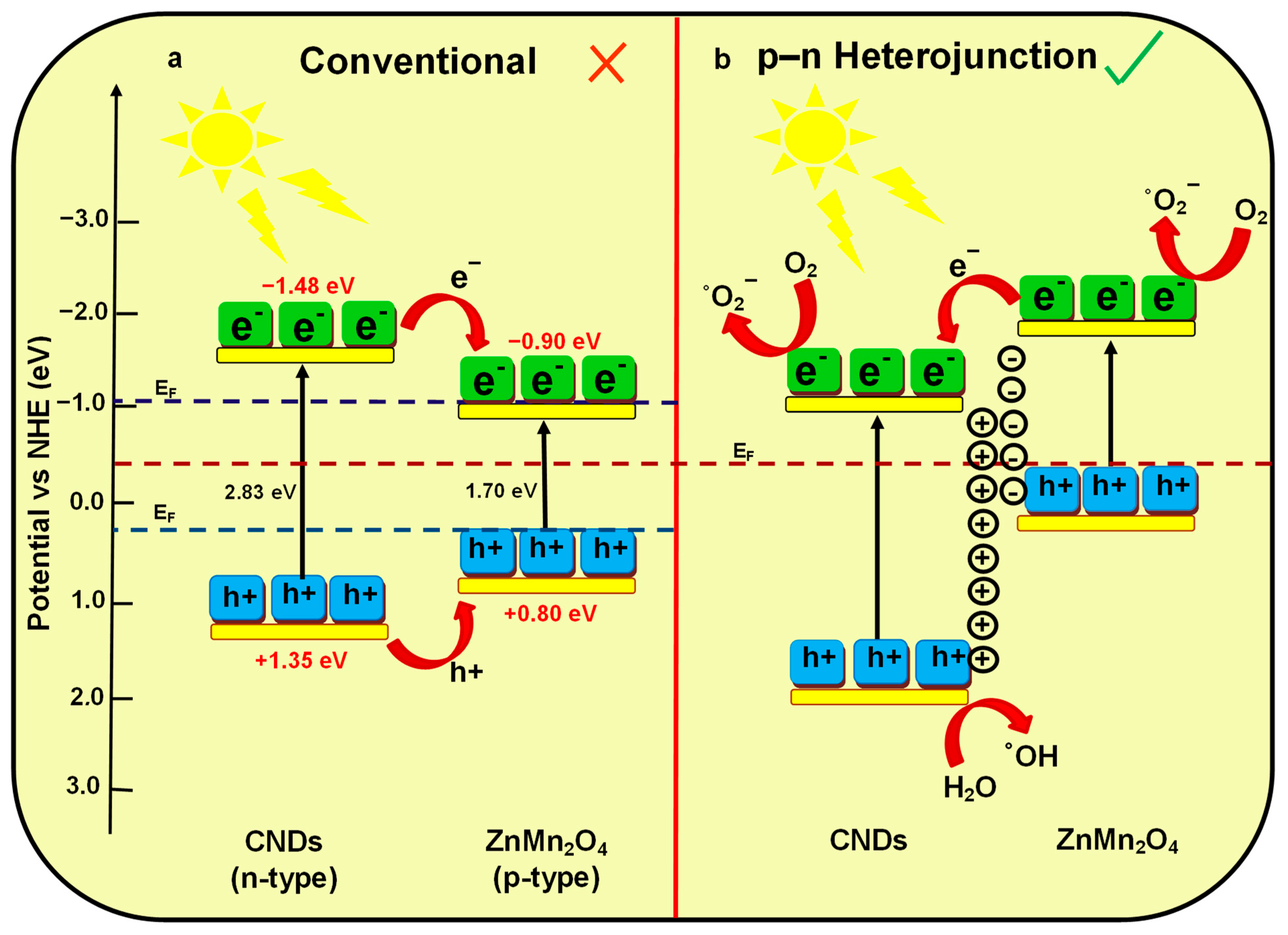 Catalysts 13 00346 g006