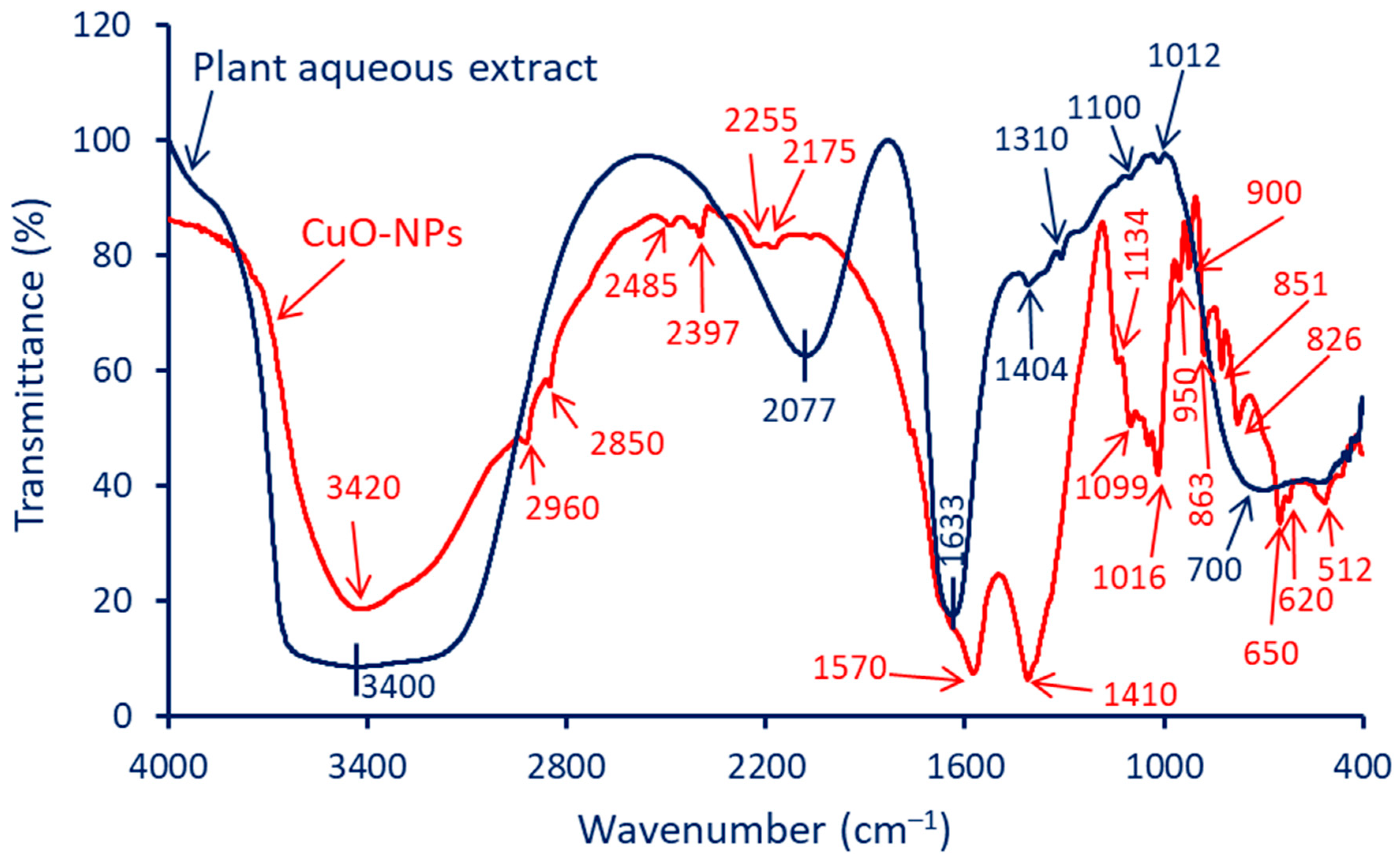 Catalysts 13 00348 g003