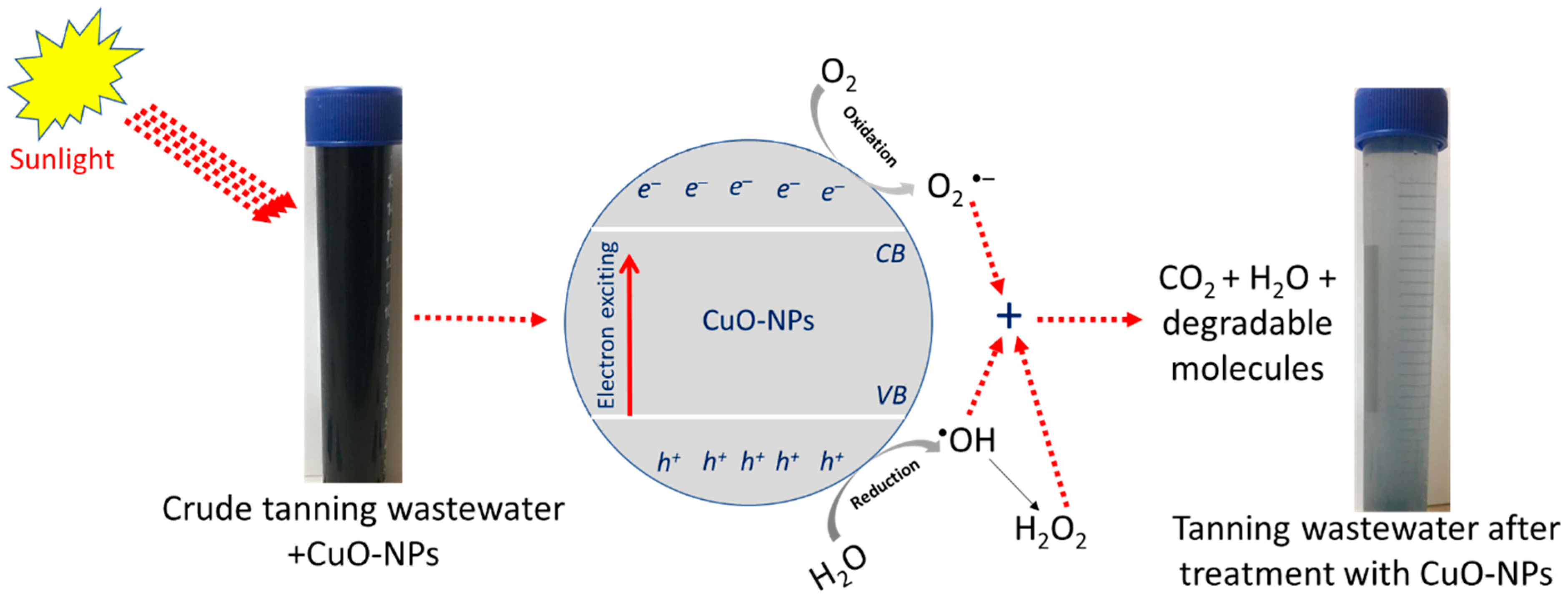 Catalysts 13 00348 g008