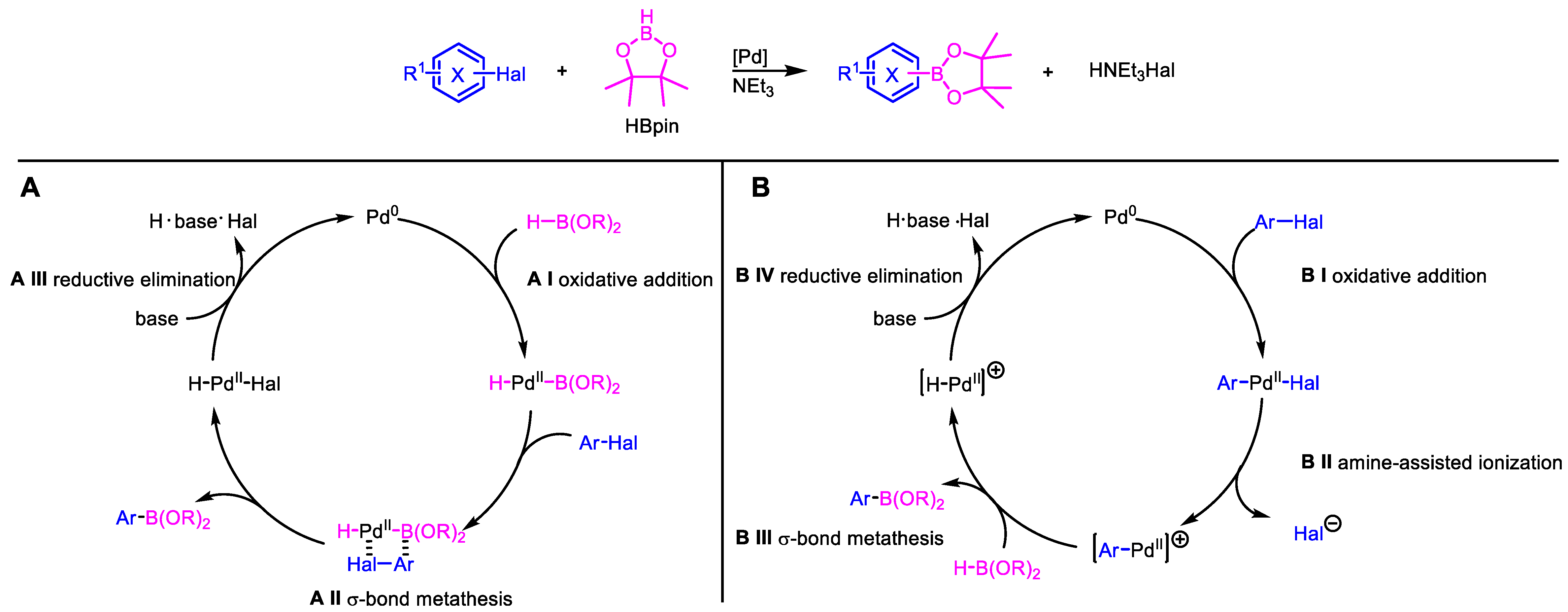 Catalysts 13 00350 g002