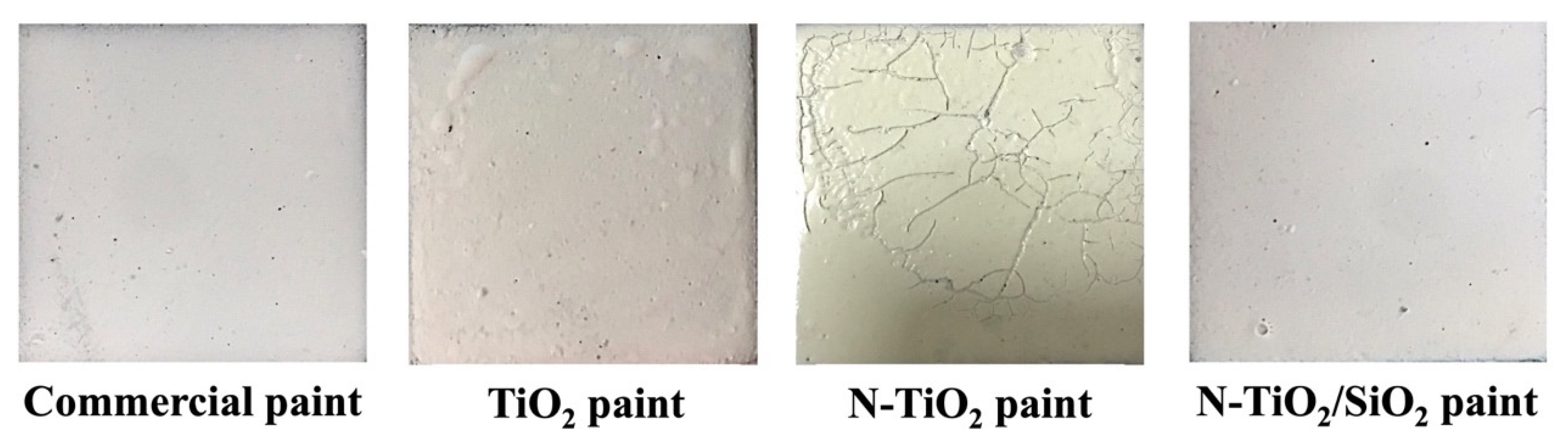 Catalysts 13 00351 g007