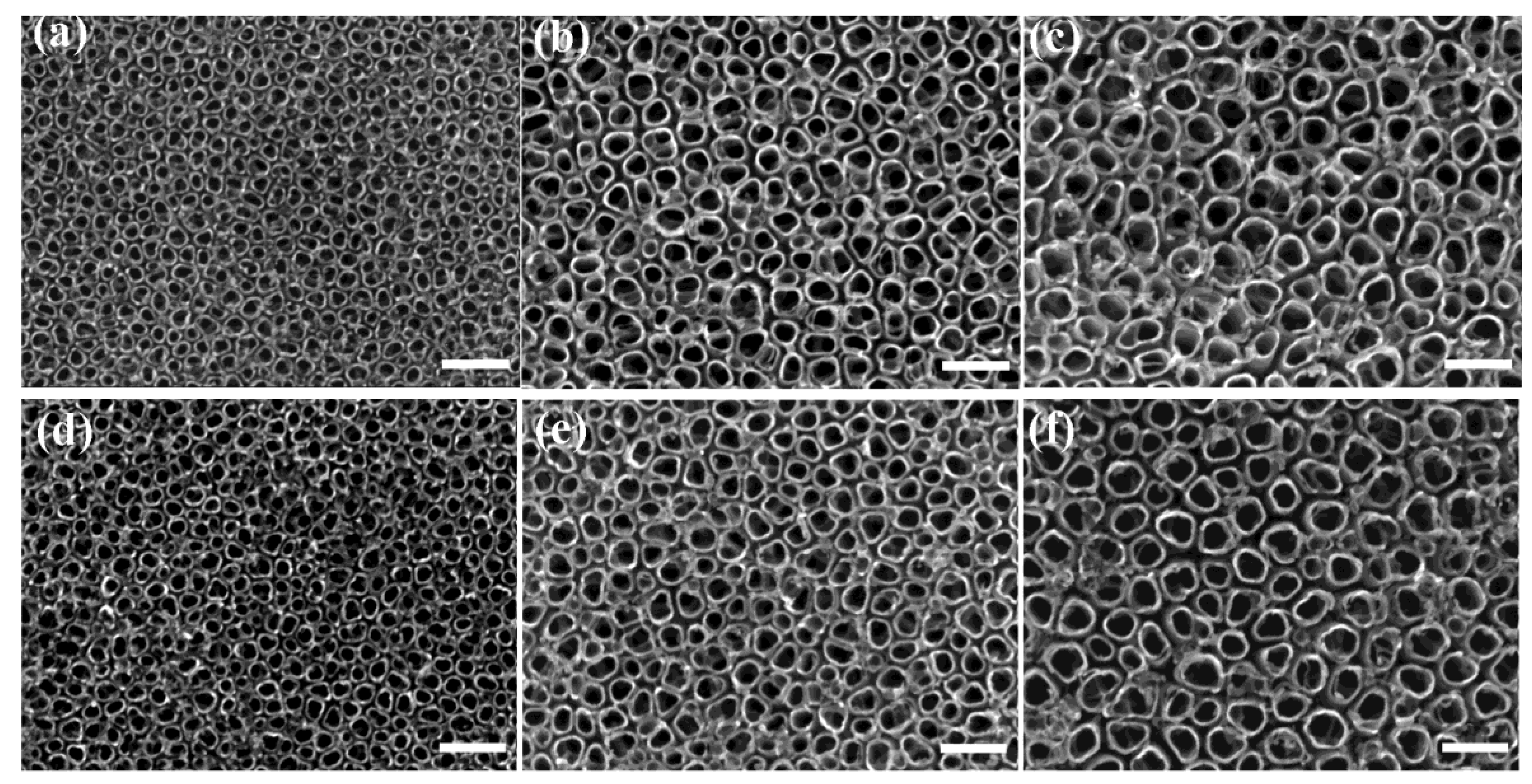 Catalysts 13 00352 g001