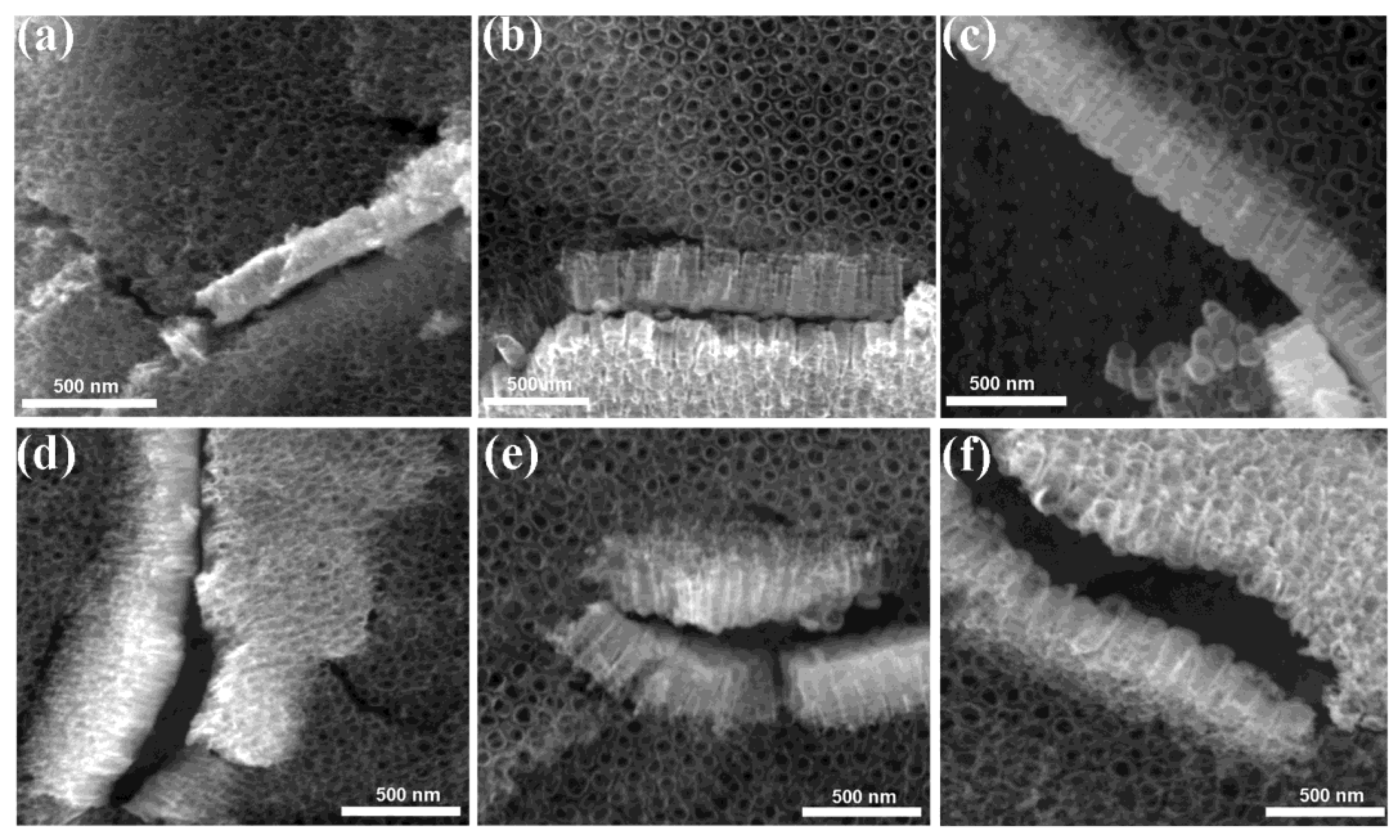 Catalysts 13 00352 g002