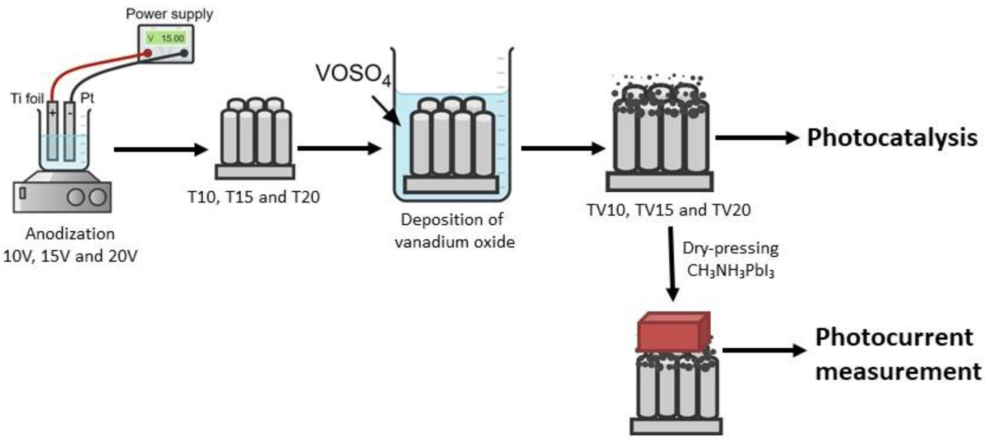 Catalysts 13 00352 g008
