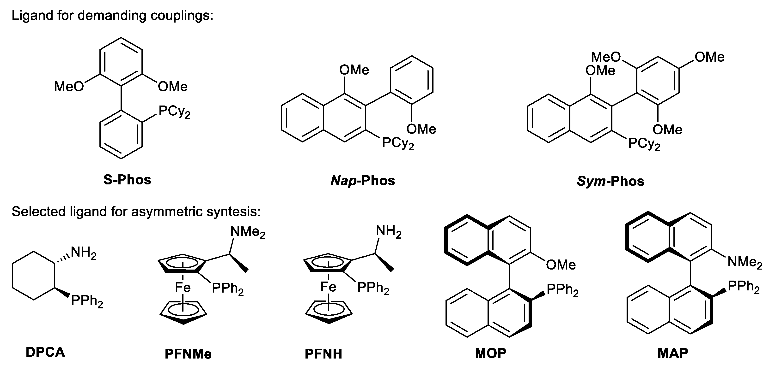 Catalysts 13 00353 g001