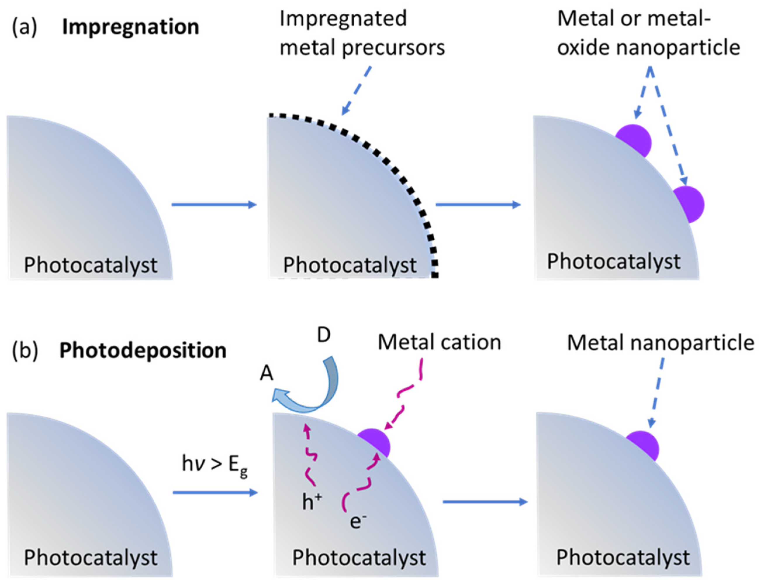 Catalysts 13 00355 g002