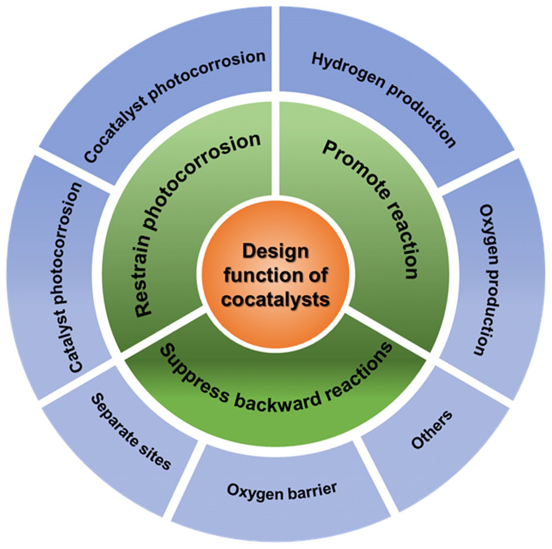 Catalysts 13 00355 g003