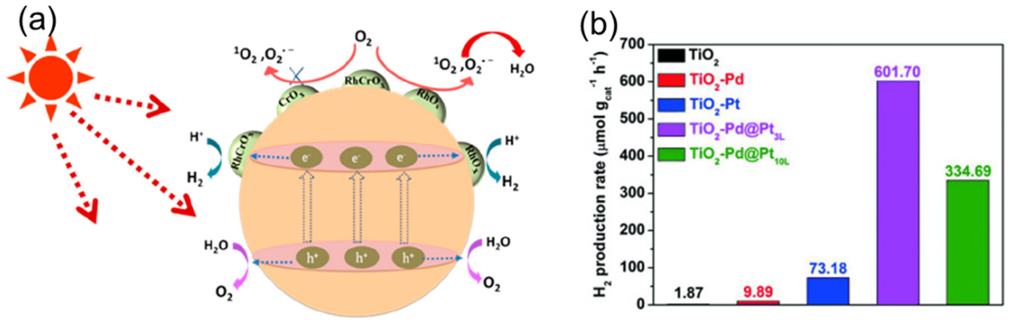 Catalysts 13 00355 g004