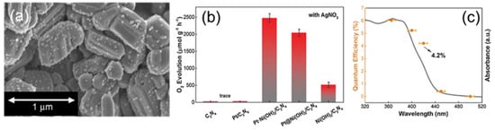 Catalysts 13 00355 g005 550