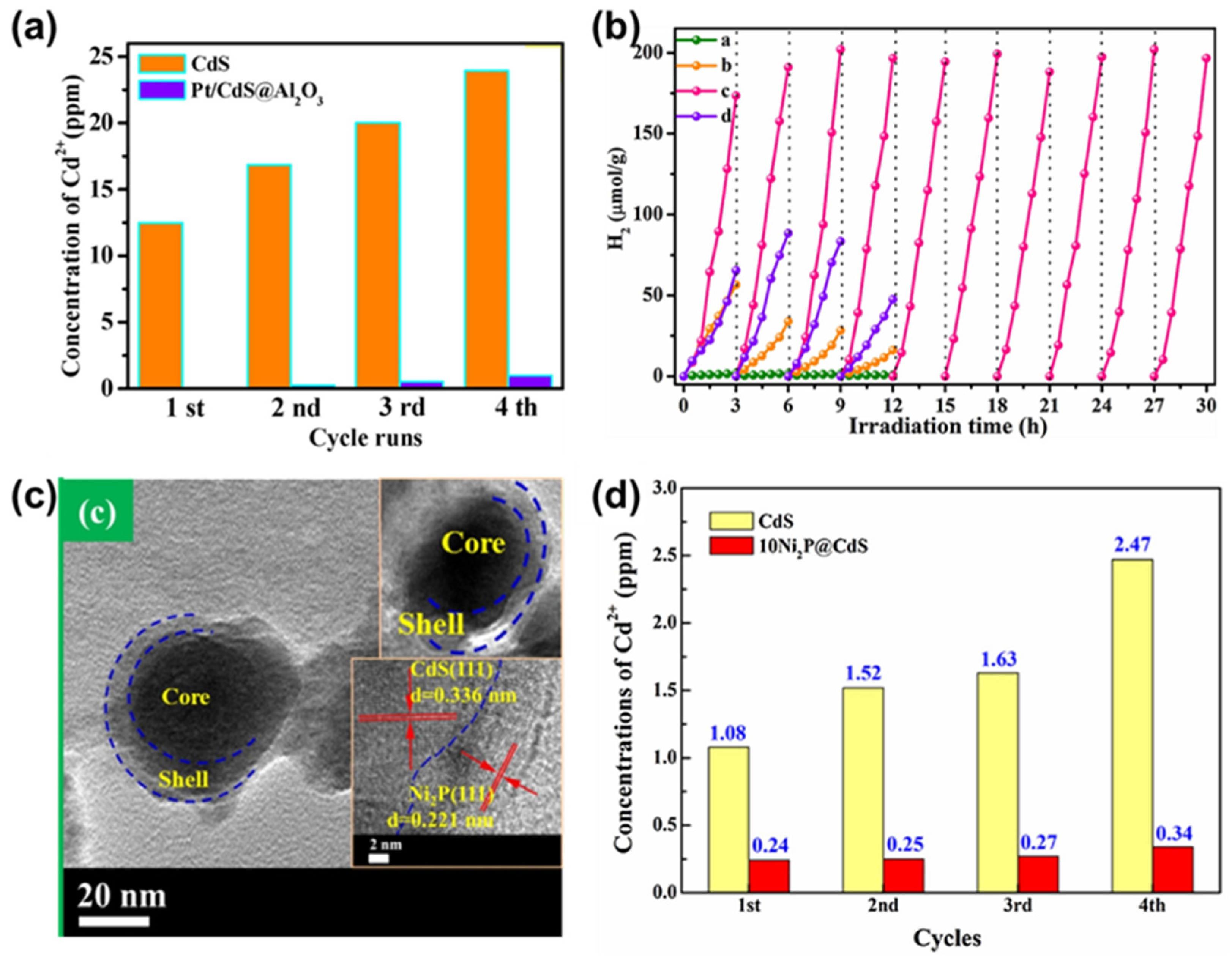 Catalysts 13 00355 g009
