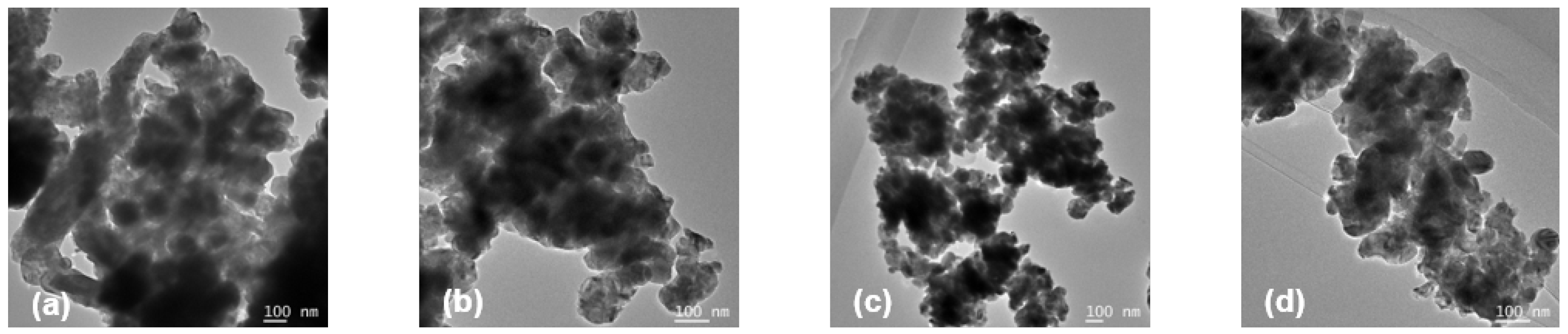 Catalysts 13 00356 g010