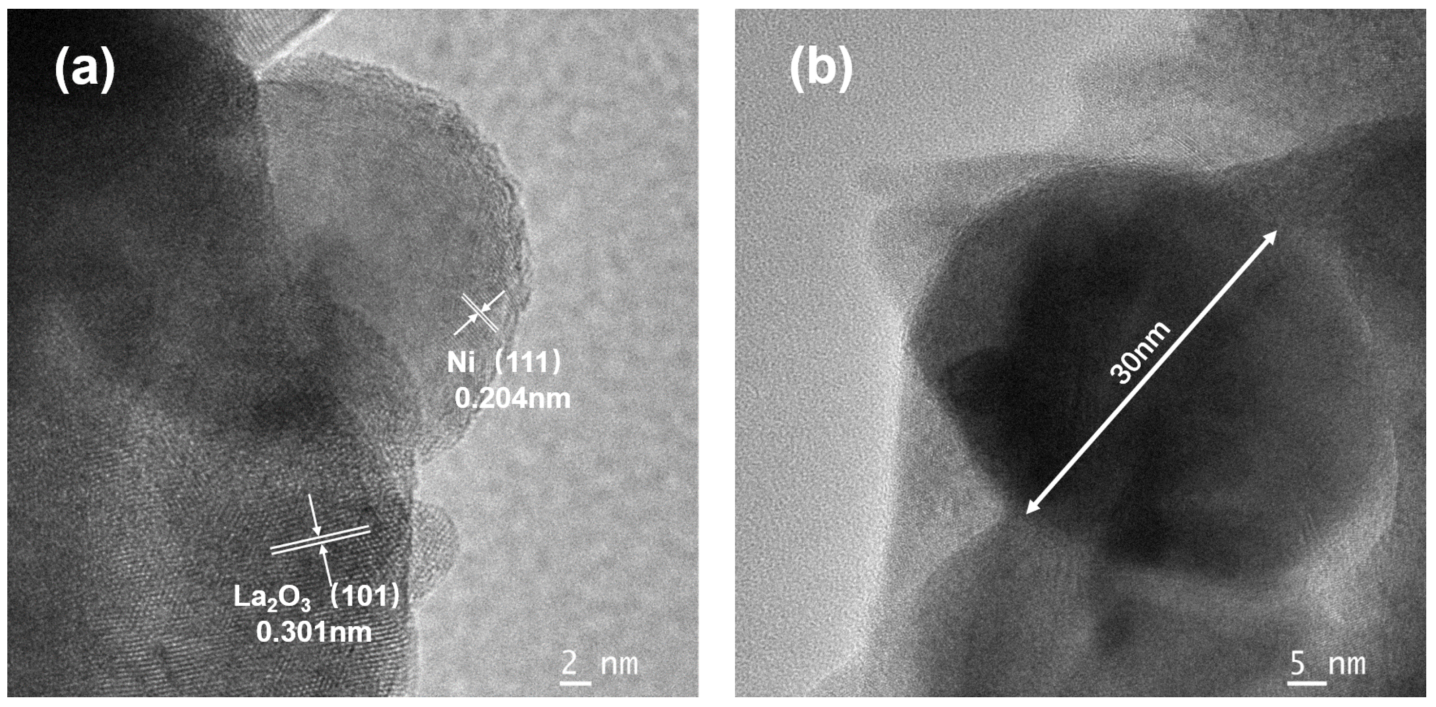 Catalysts 13 00356 g011