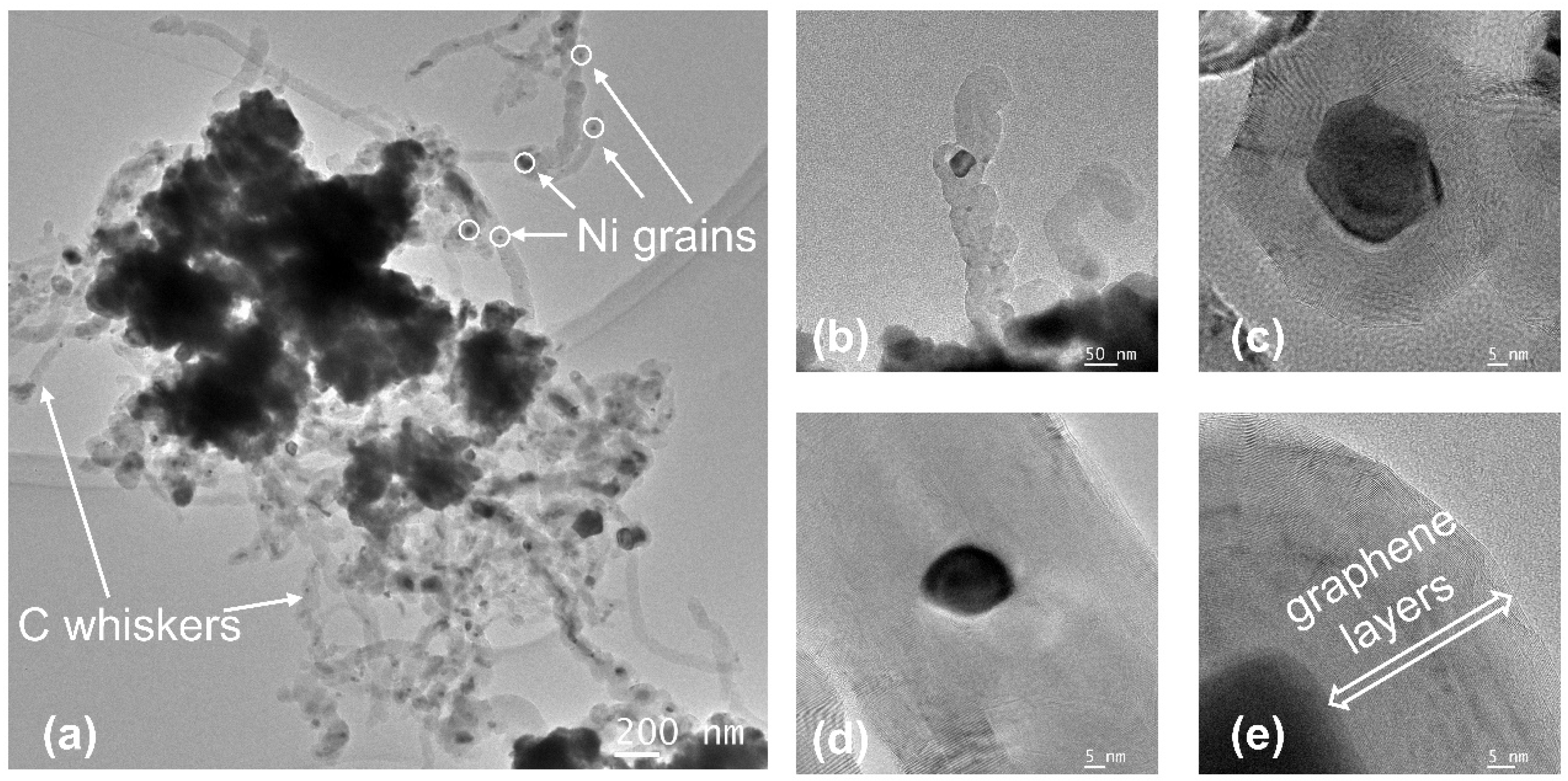 Catalysts 13 00356 g015