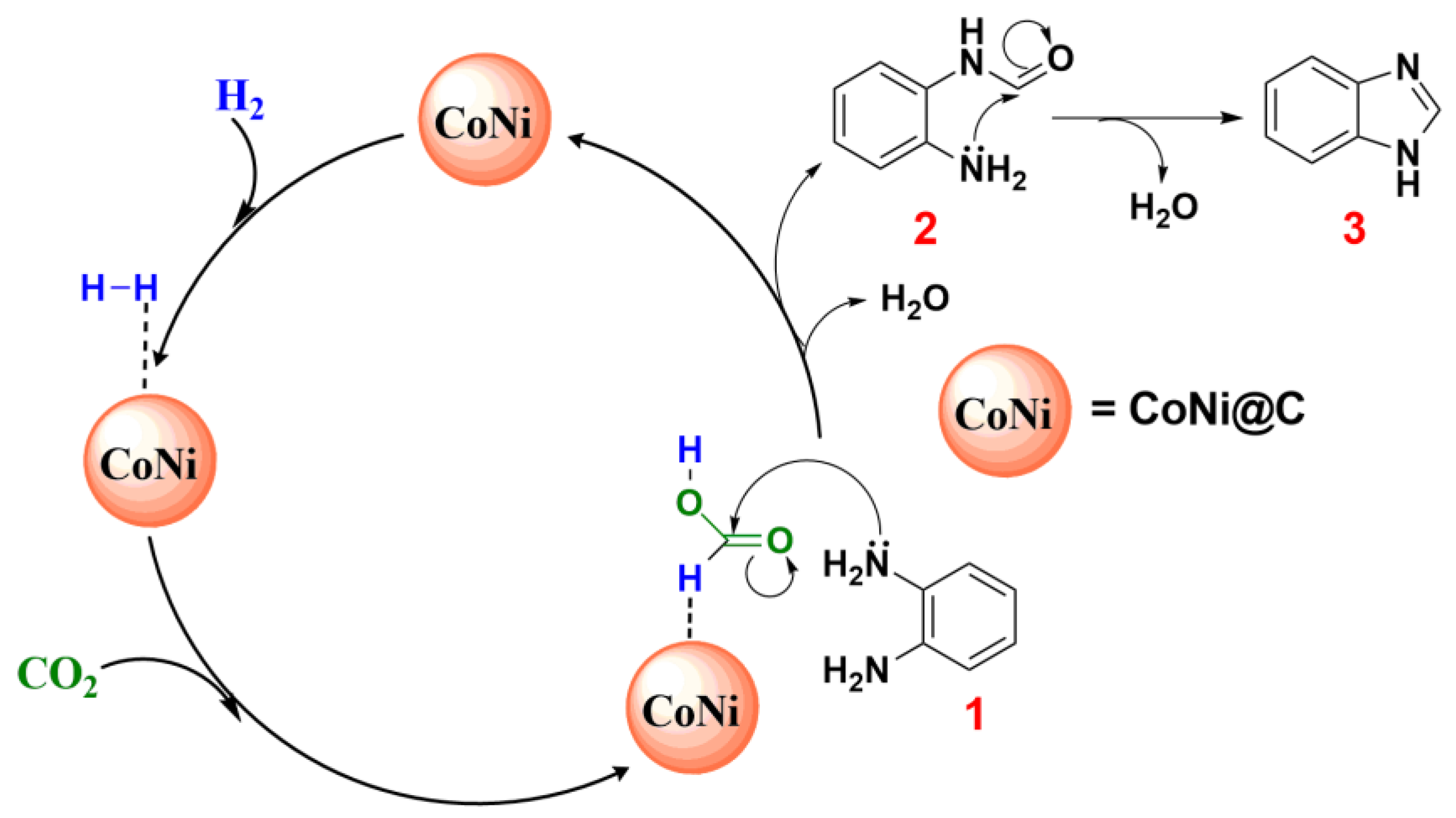 Catalysts 13 00357 g007