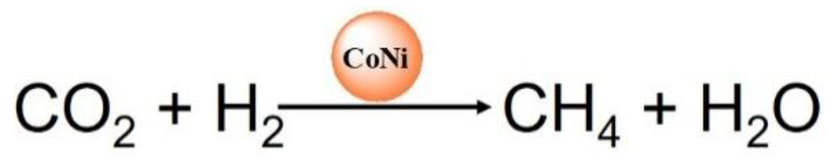 Catalysts 13 00357 sch001