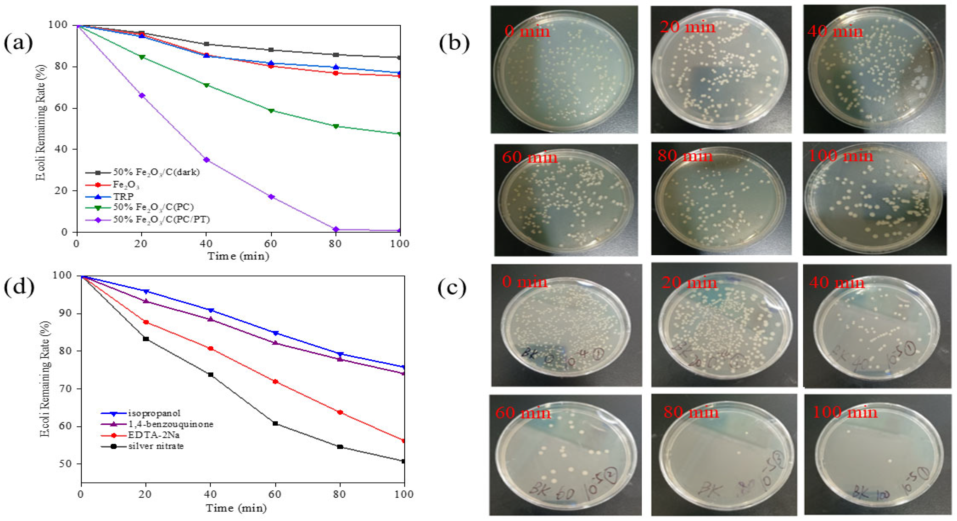 Catalysts 13 00358 g006