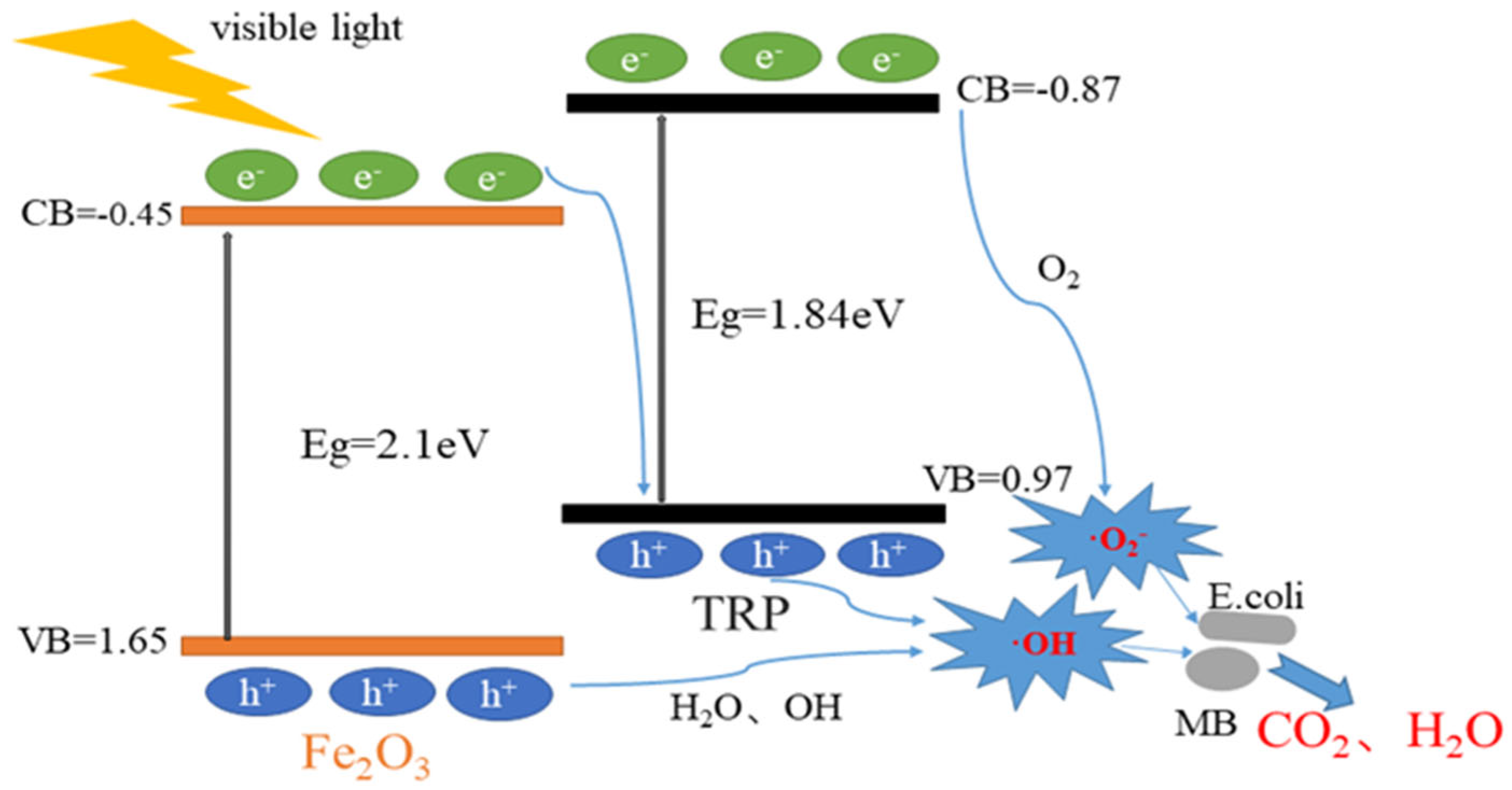 Catalysts 13 00358 sch001