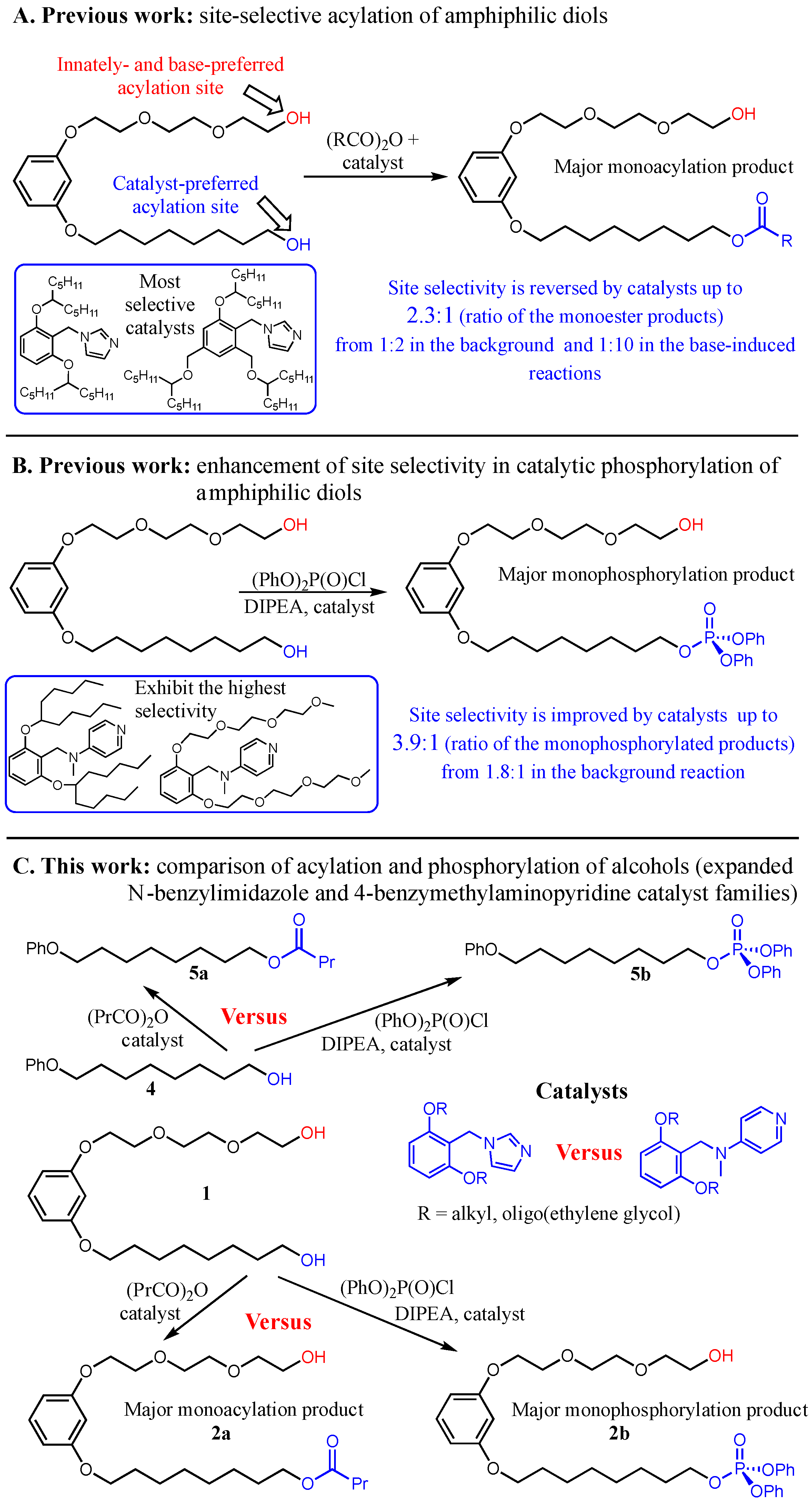 Catalysts 13 00361 sch001