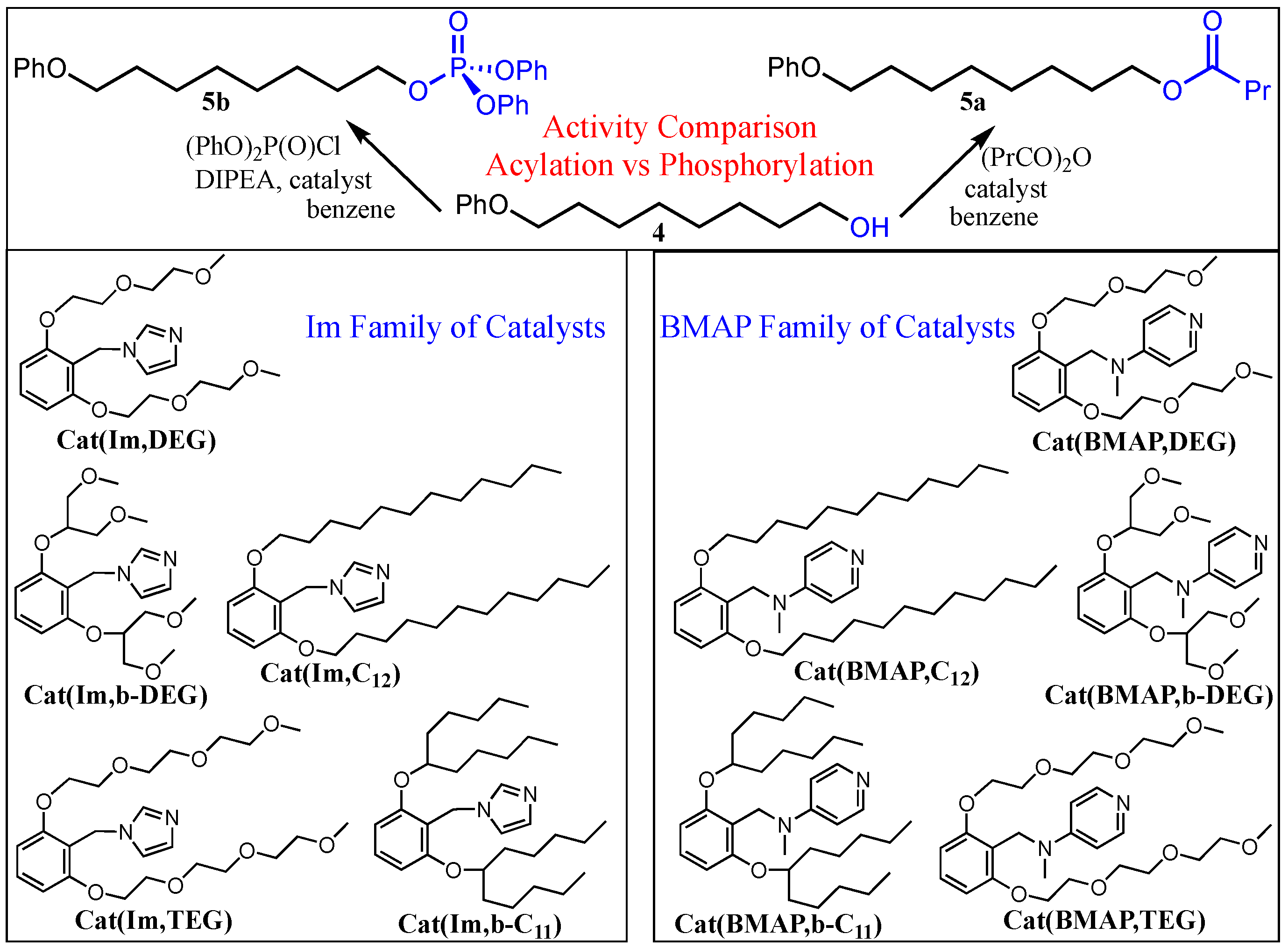 Catalysts 13 00361 sch002