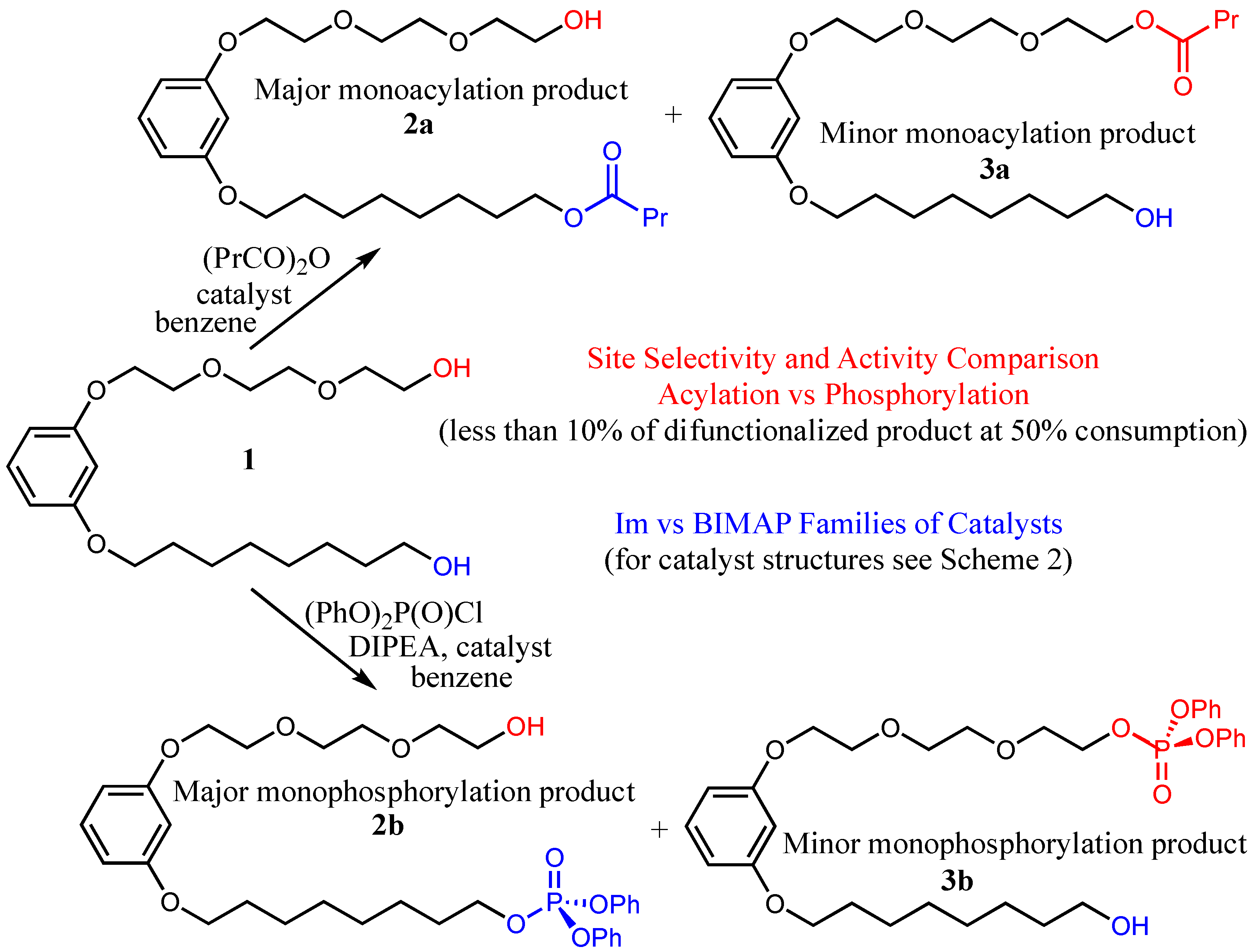 Catalysts 13 00361 sch003