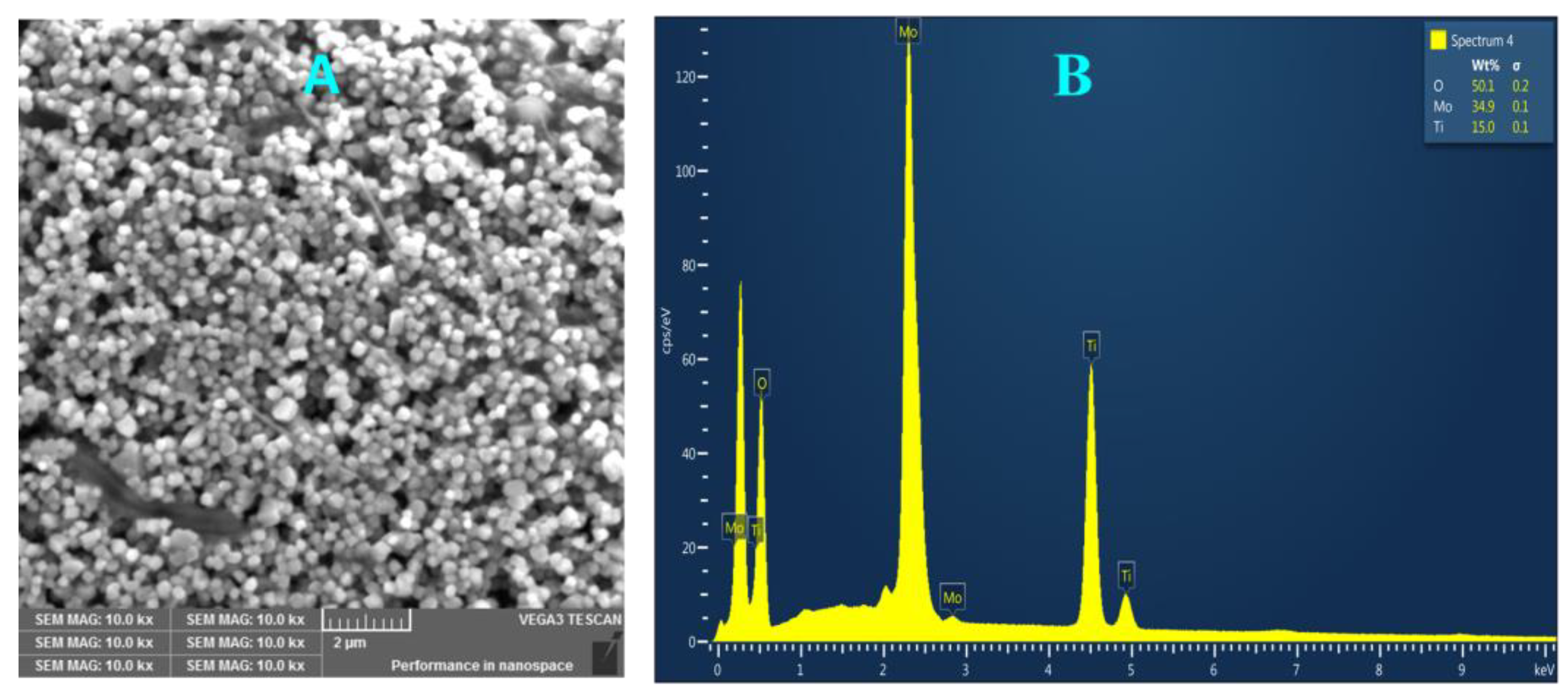 Catalysts 13 00362 g001