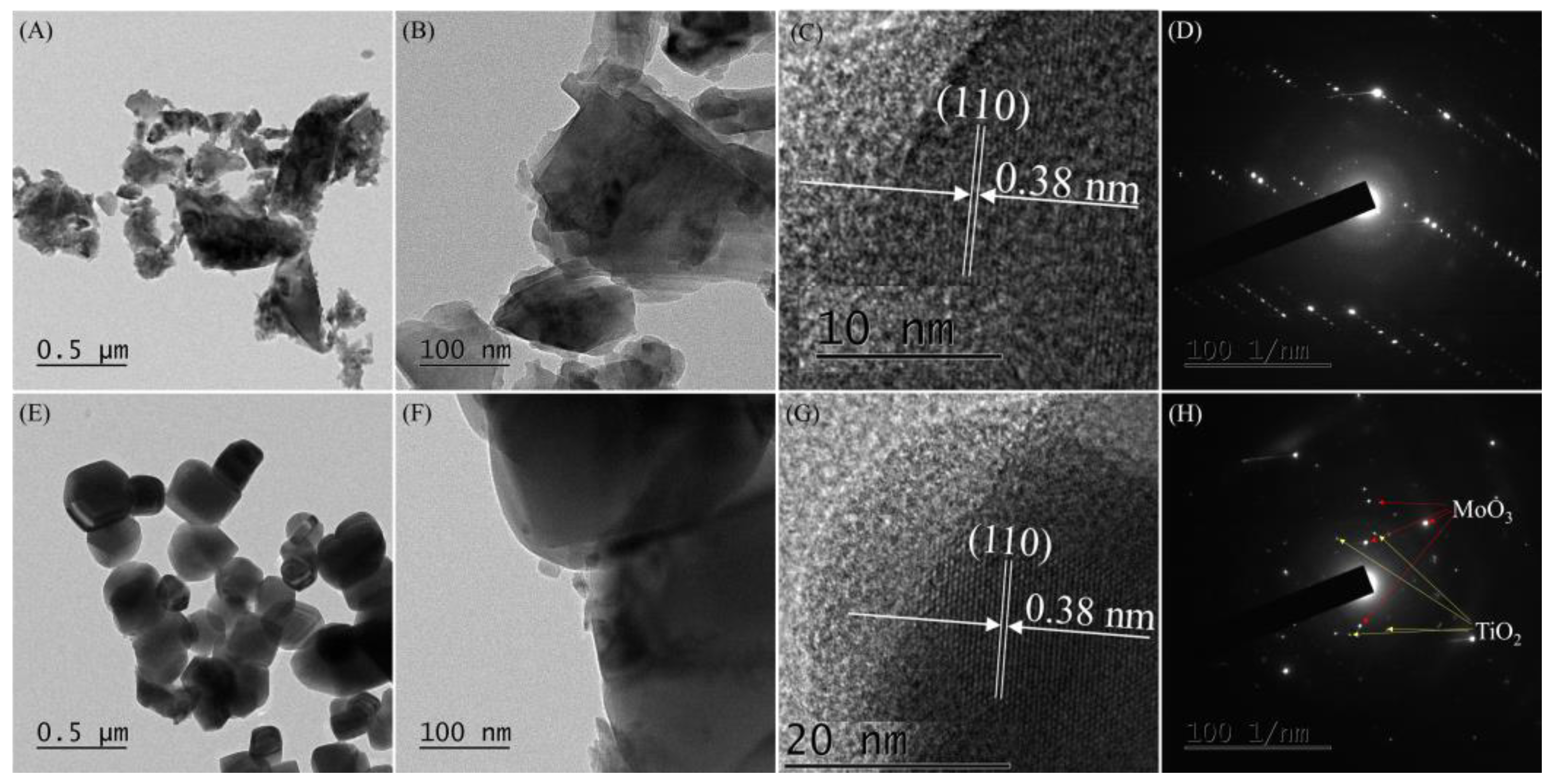 Catalysts 13 00362 g002