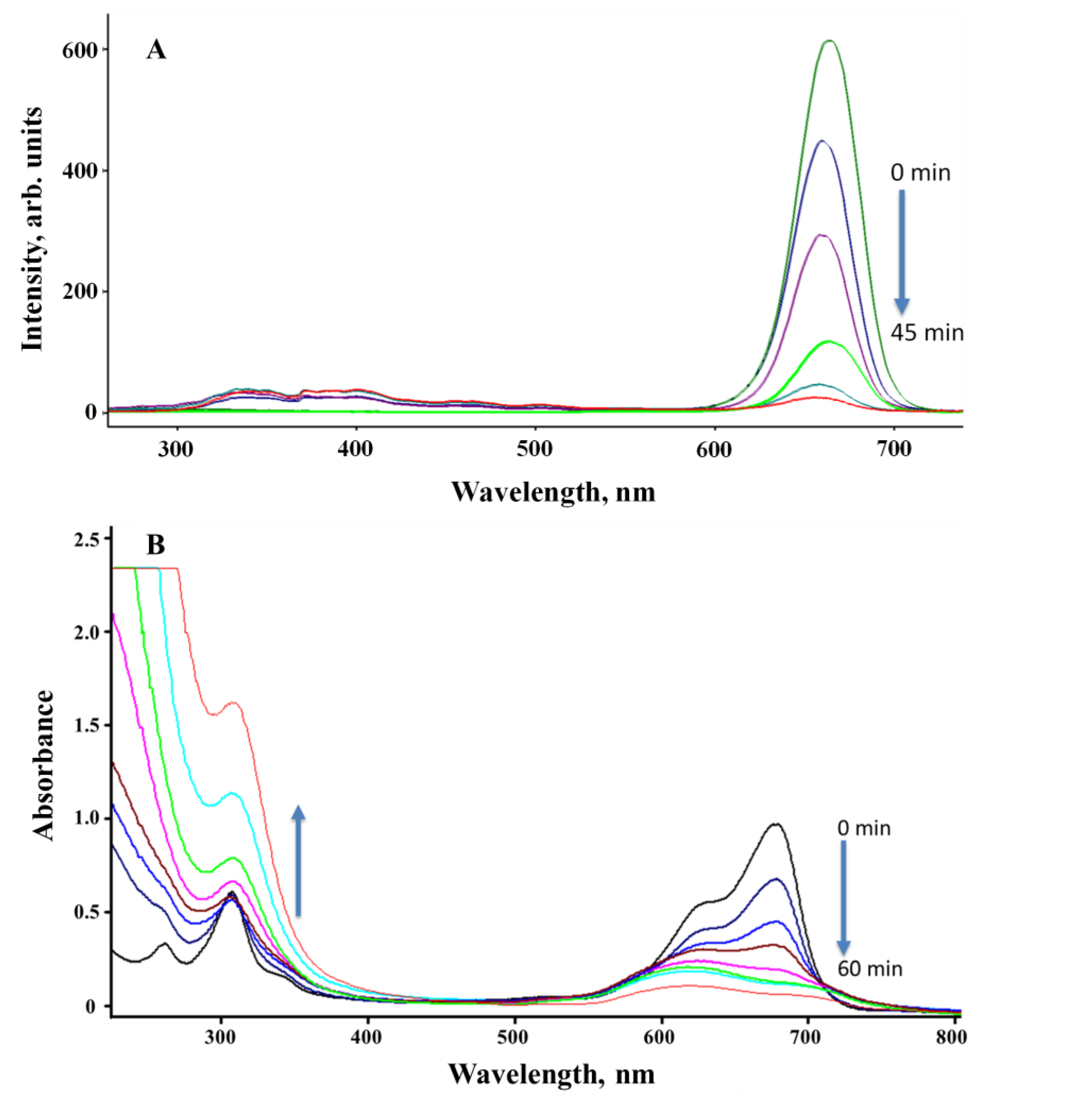 Catalysts 13 00362 g011a