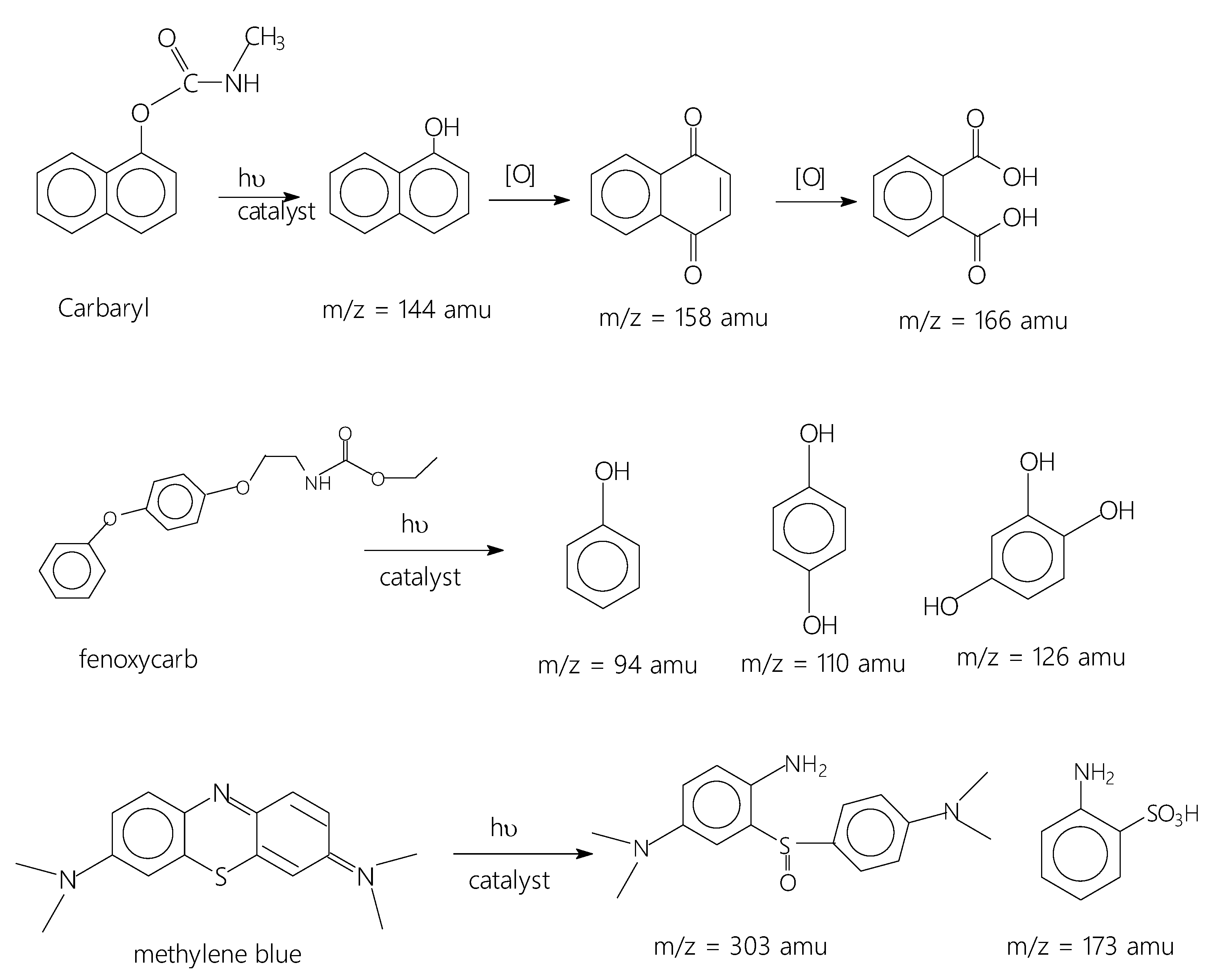 Catalysts 13 00362 sch001