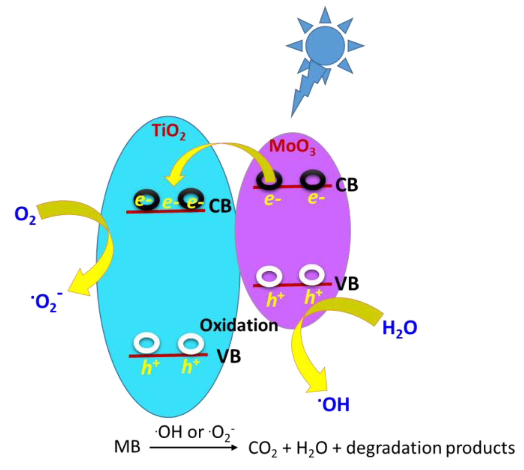 Catalysts 13 00362 sch002