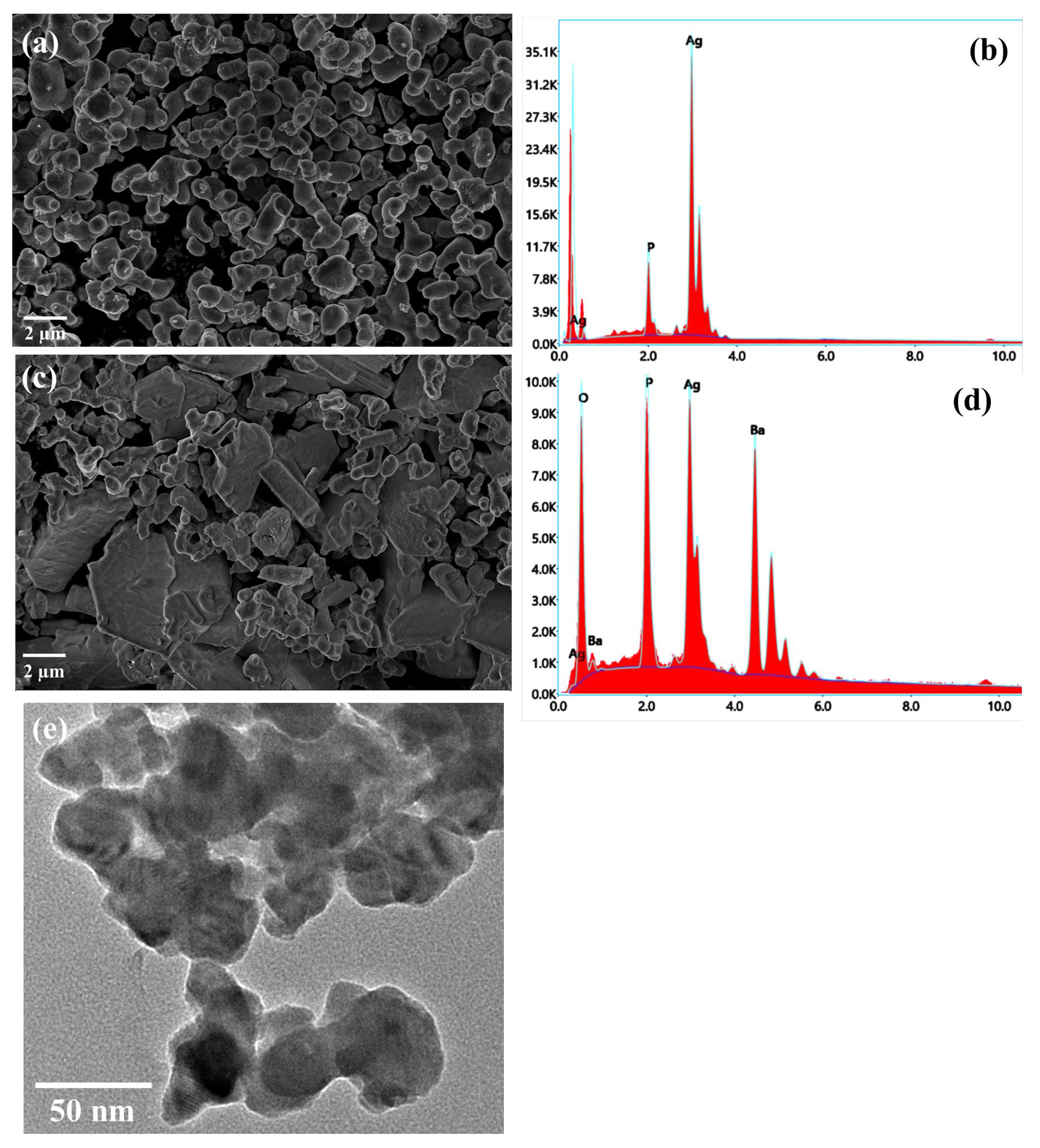 Catalysts 13 00363 g001