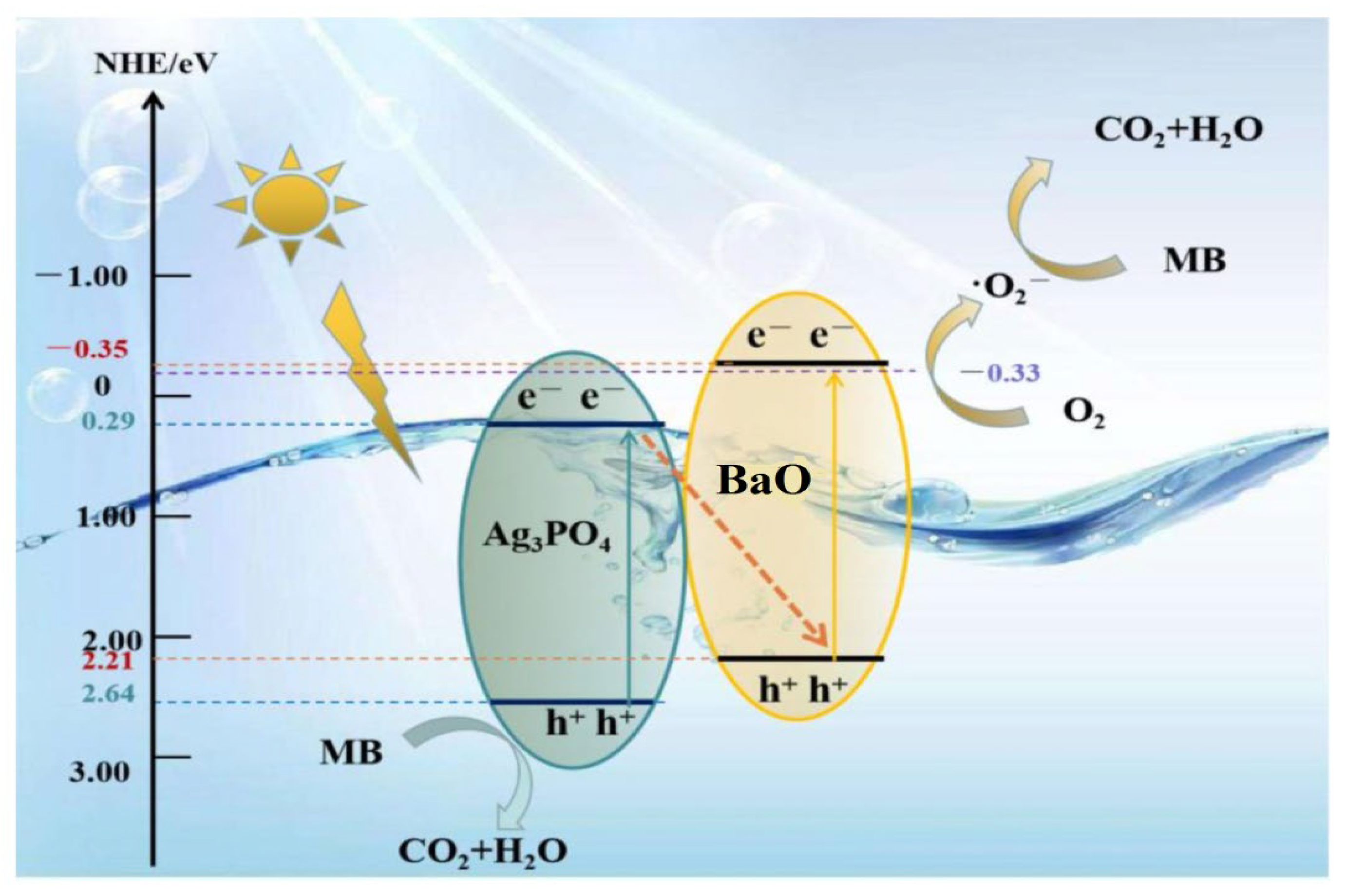 Catalysts 13 00363 g007