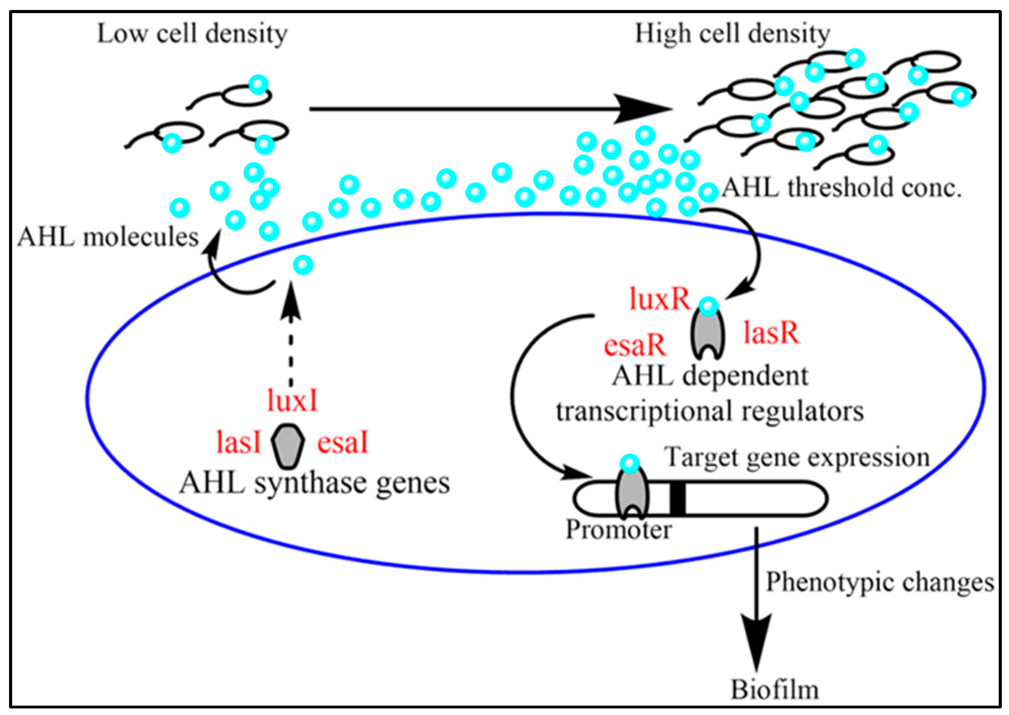 Catalysts 13 00364 g001 Catalysts 13 00364 g001