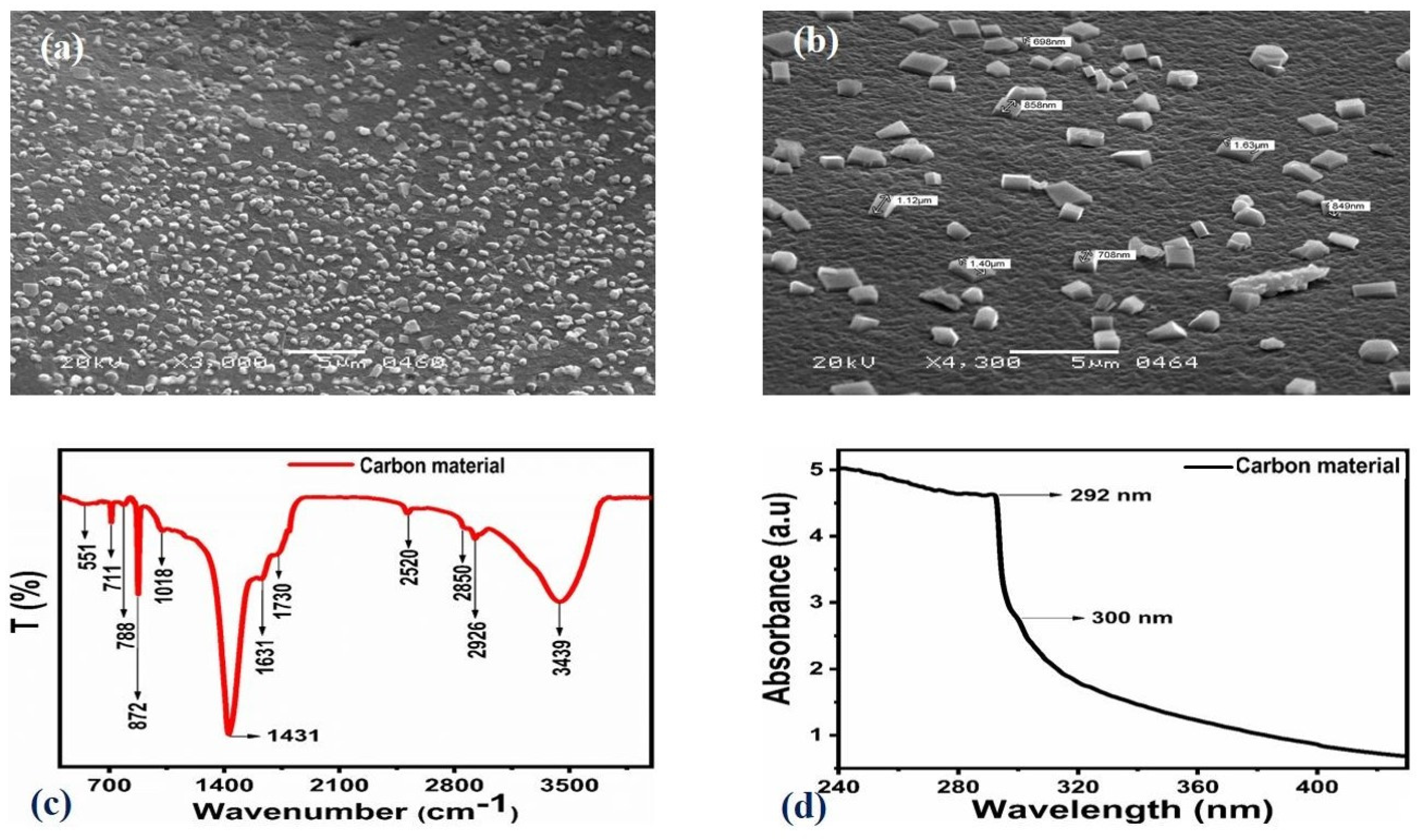 Catalysts 13 00365 g001
