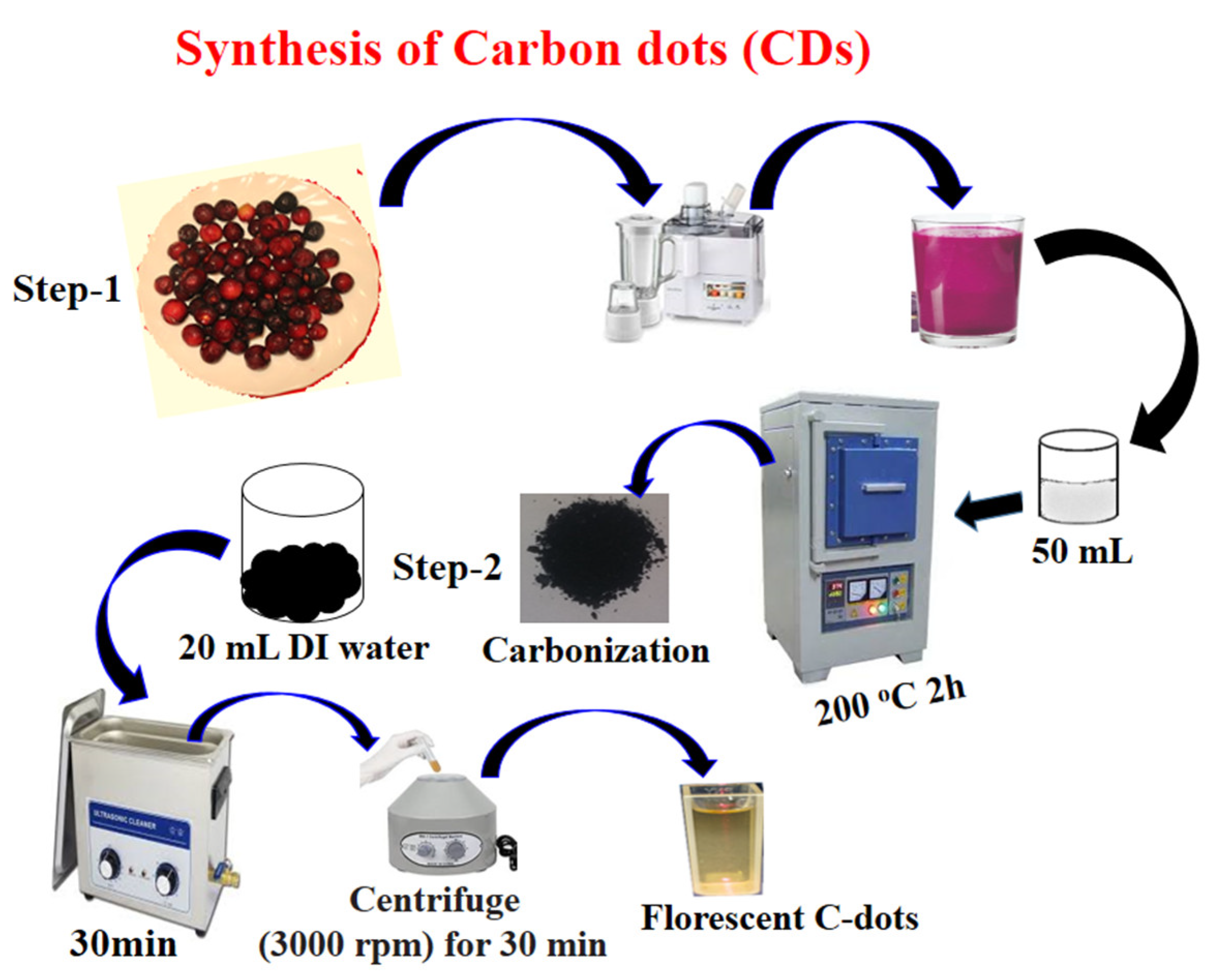 Catalysts 13 00365 sch002