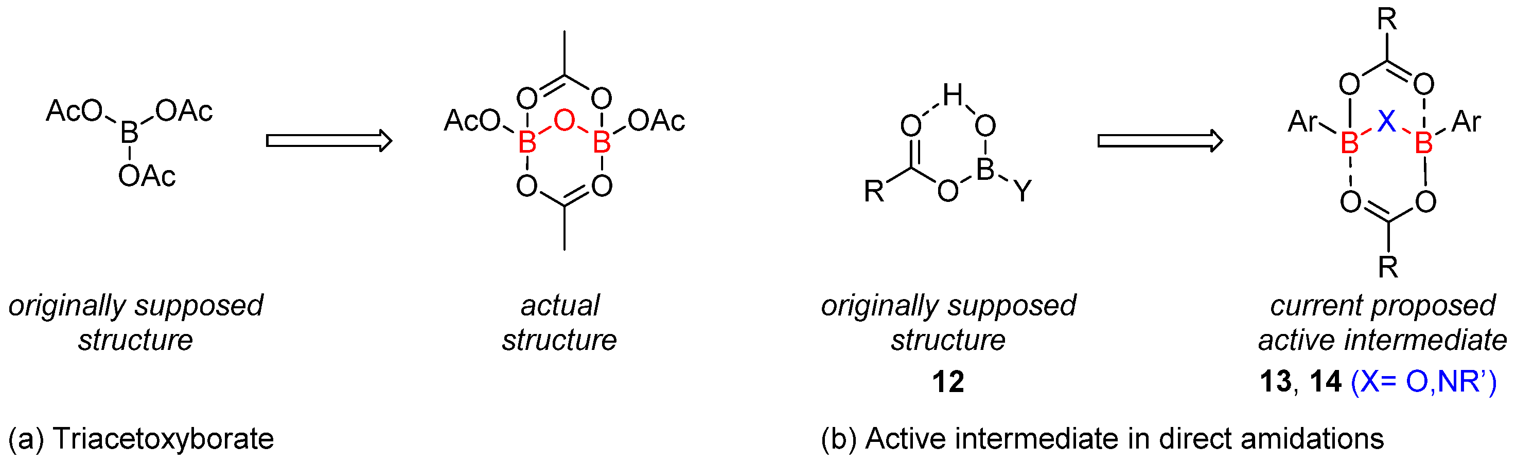 Catalysts 13 00366 sch005