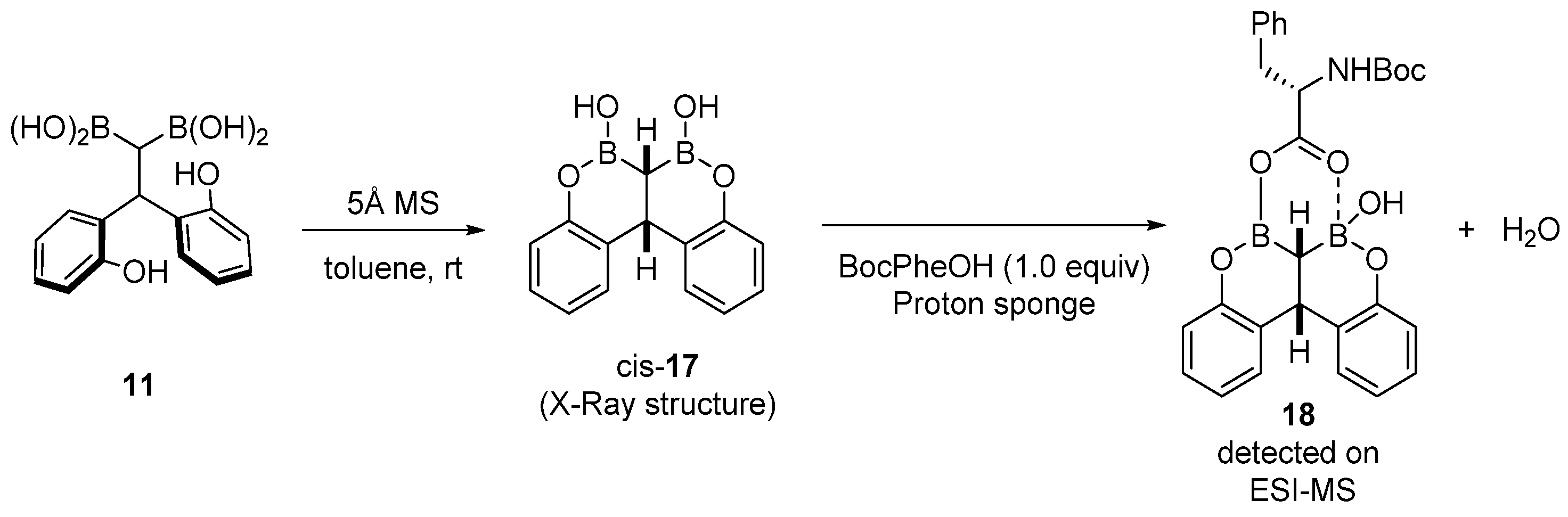 Catalysts 13 00366 sch010