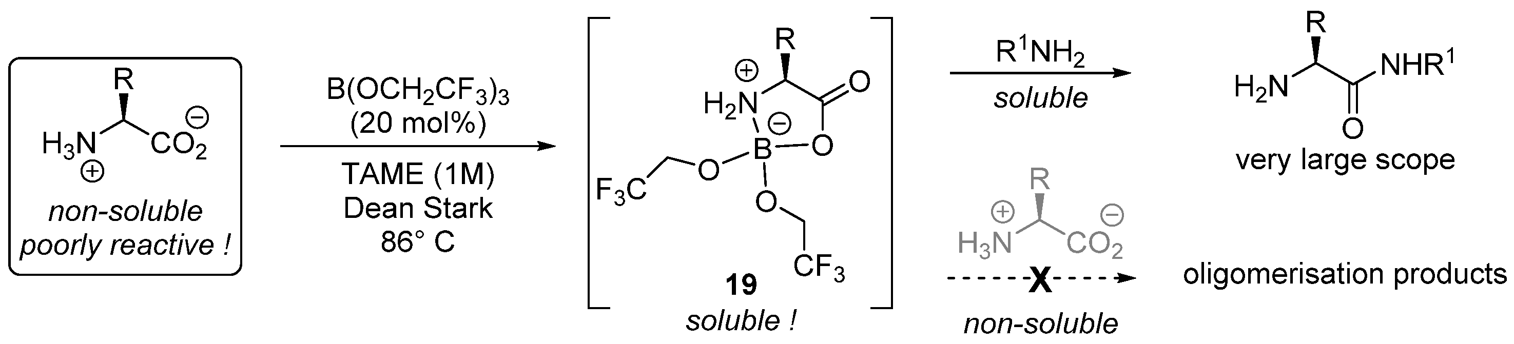 Catalysts 13 00366 sch011
