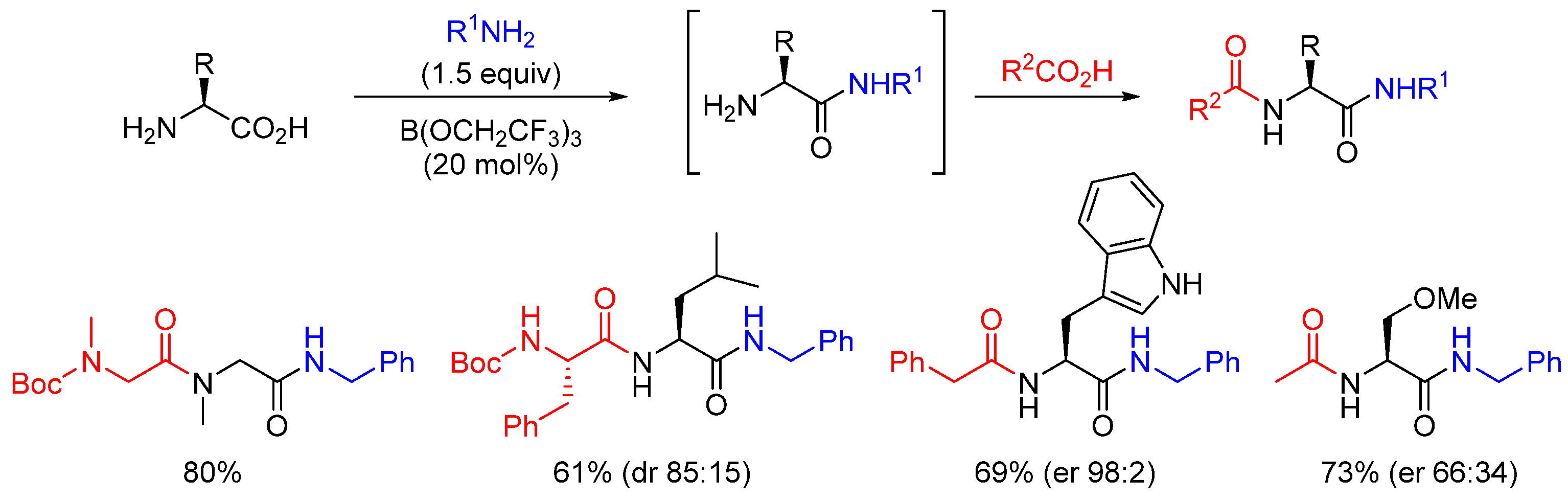 Catalysts 13 00366 sch012