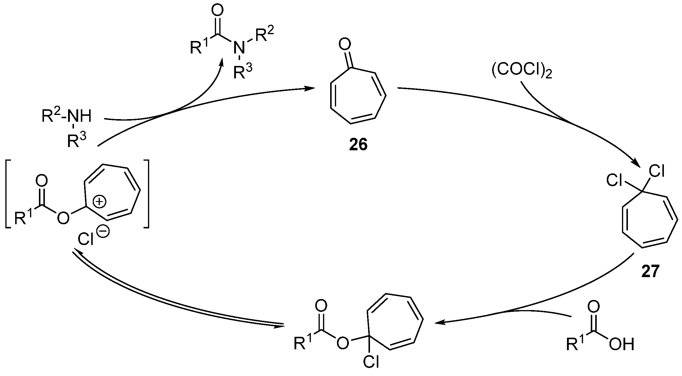 Catalysts 13 00366 sch020