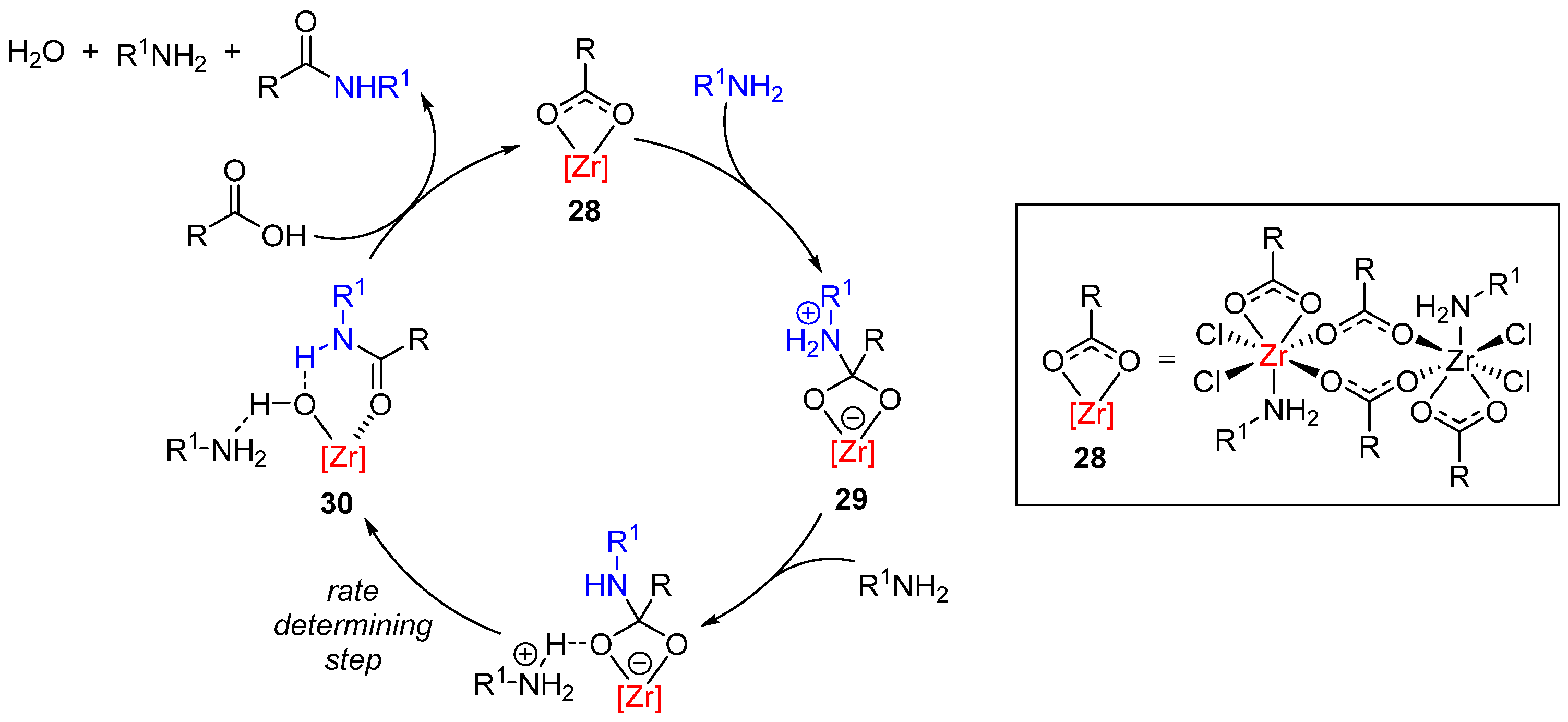 Catalysts 13 00366 sch022