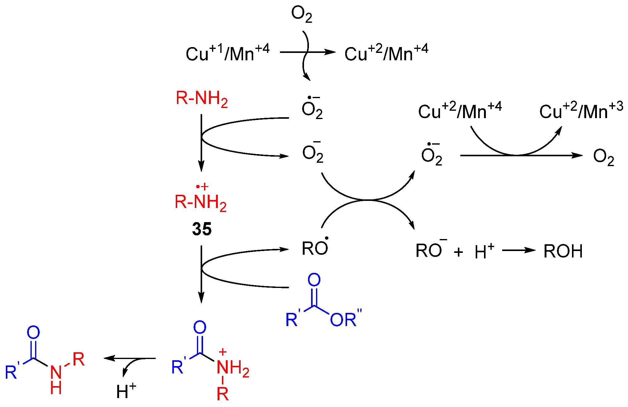 Catalysts 13 00366 sch027