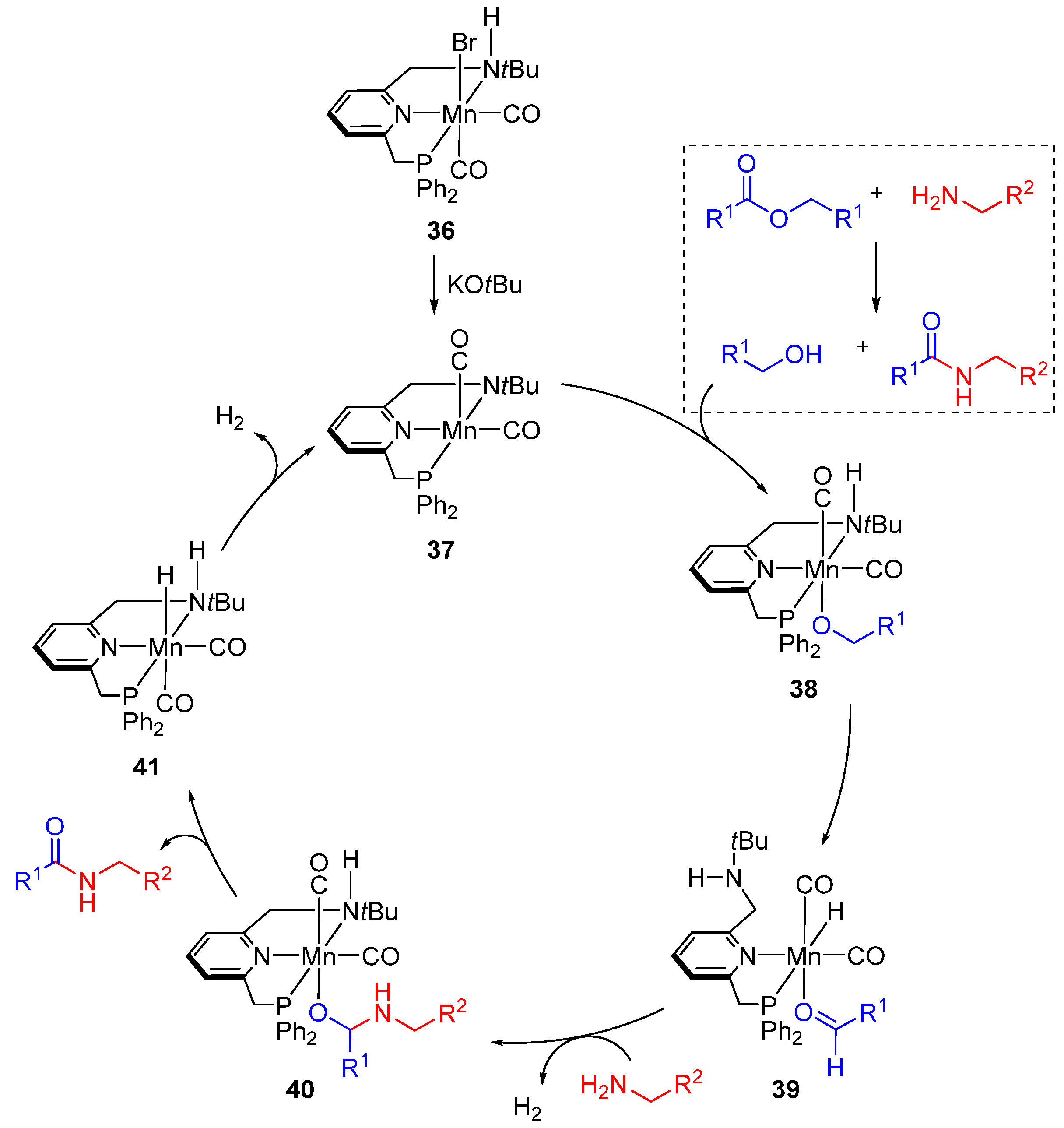 Catalysts 13 00366 sch029