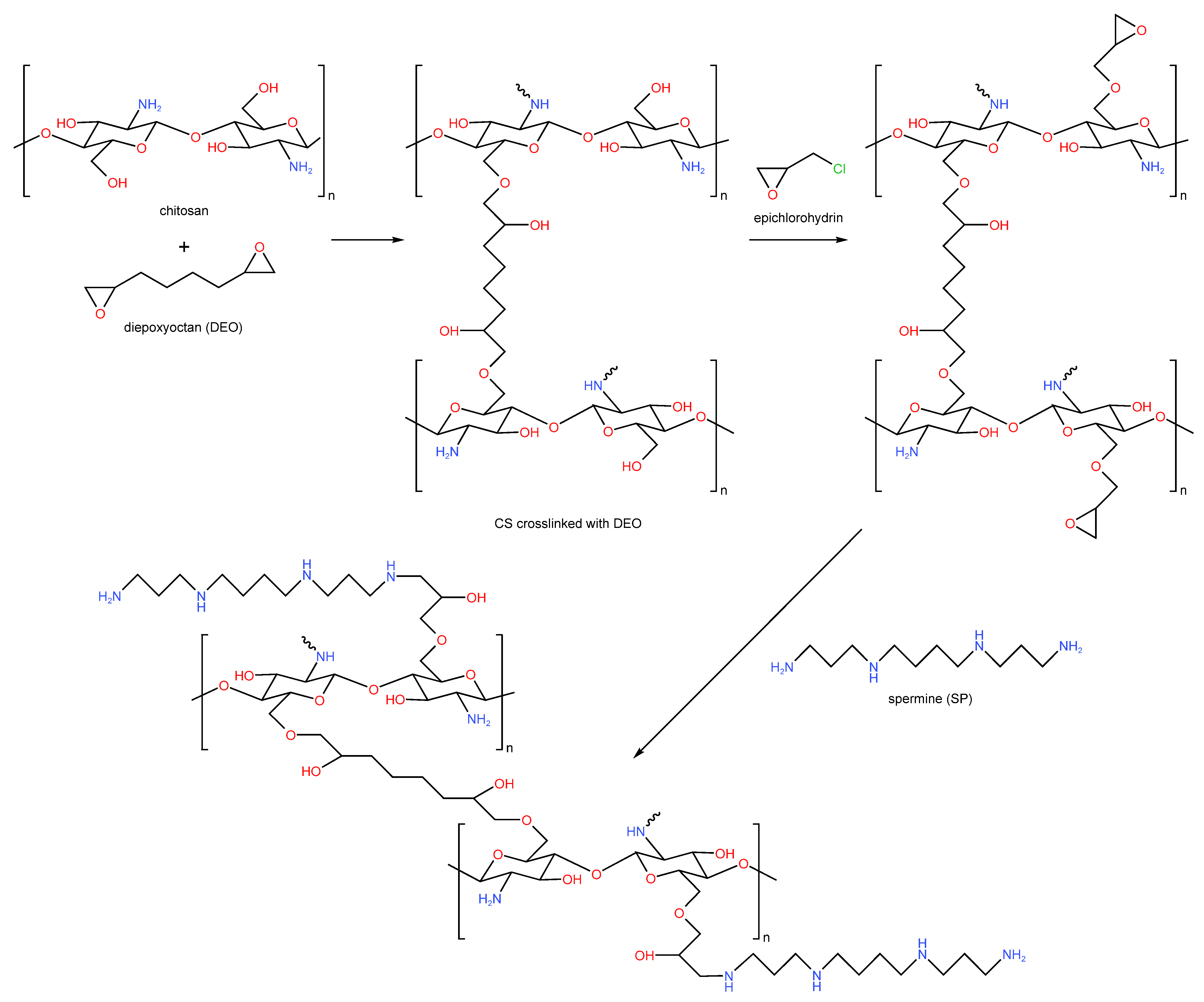 Catalysts 13 00367 g012