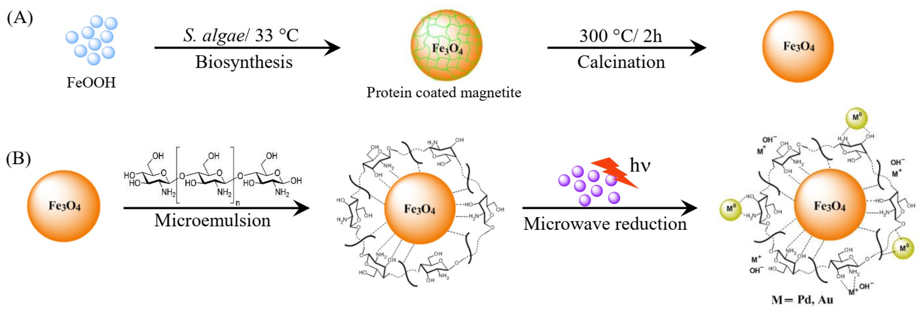 Catalysts 13 00367 g021