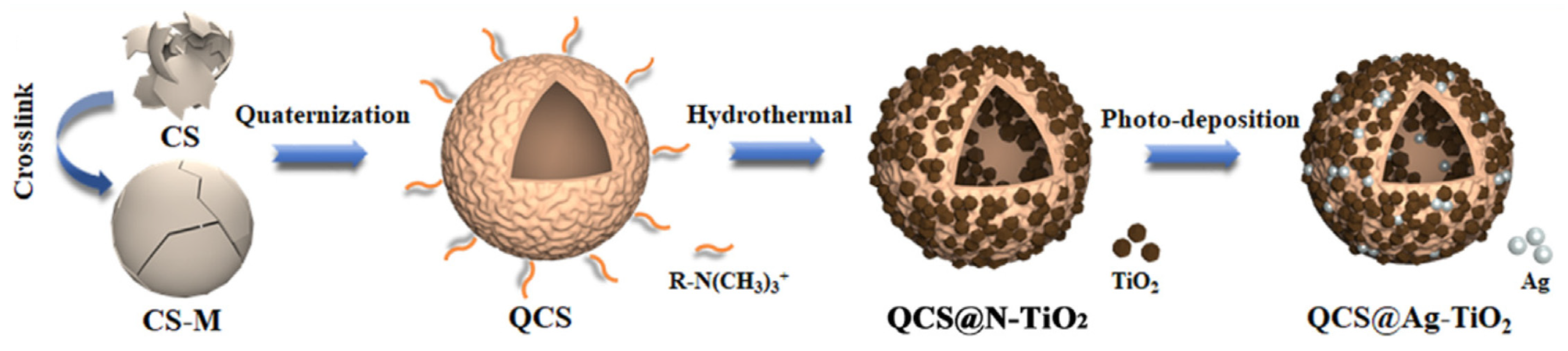 Catalysts 13 00367 g022