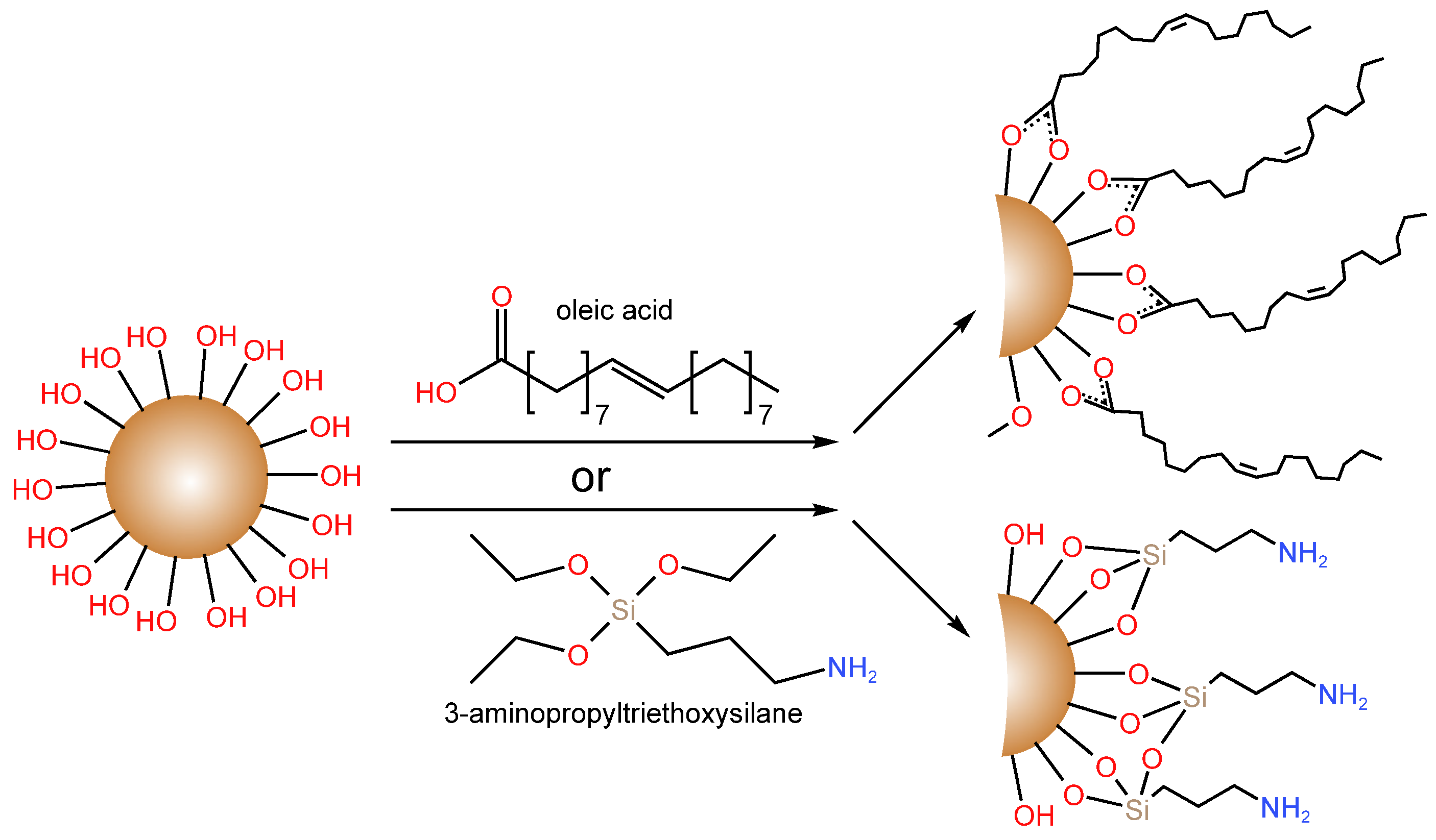 Catalysts 13 00367 g027