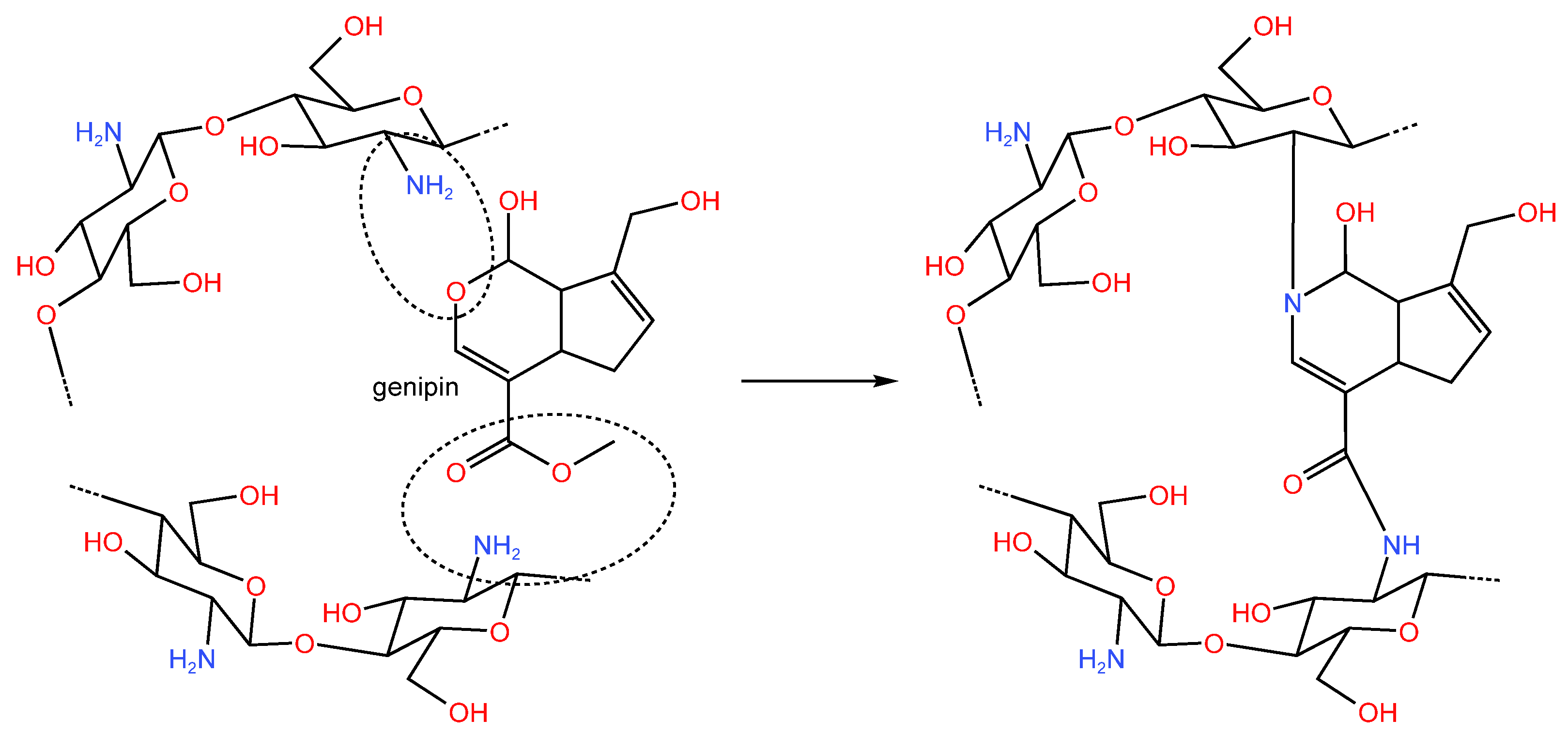 Catalysts 13 00367 g028